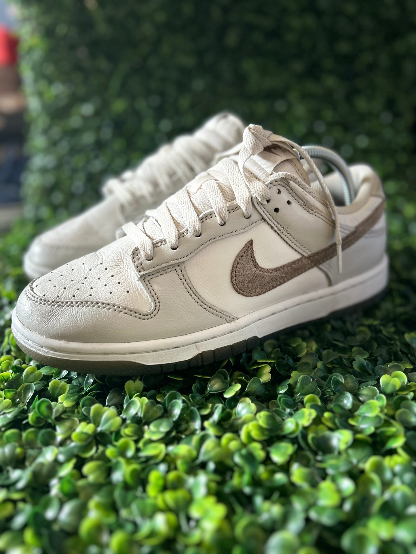 Nike dunk