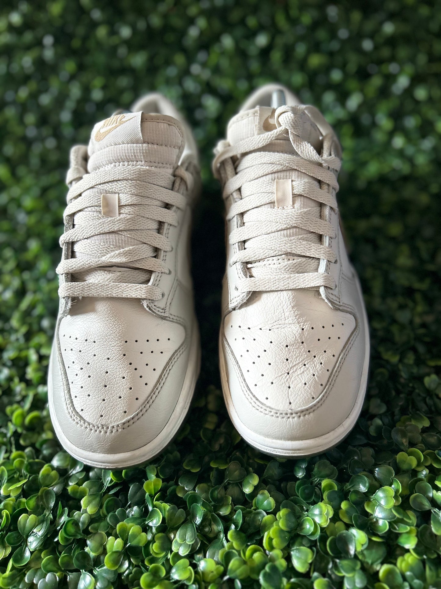 Nike dunk