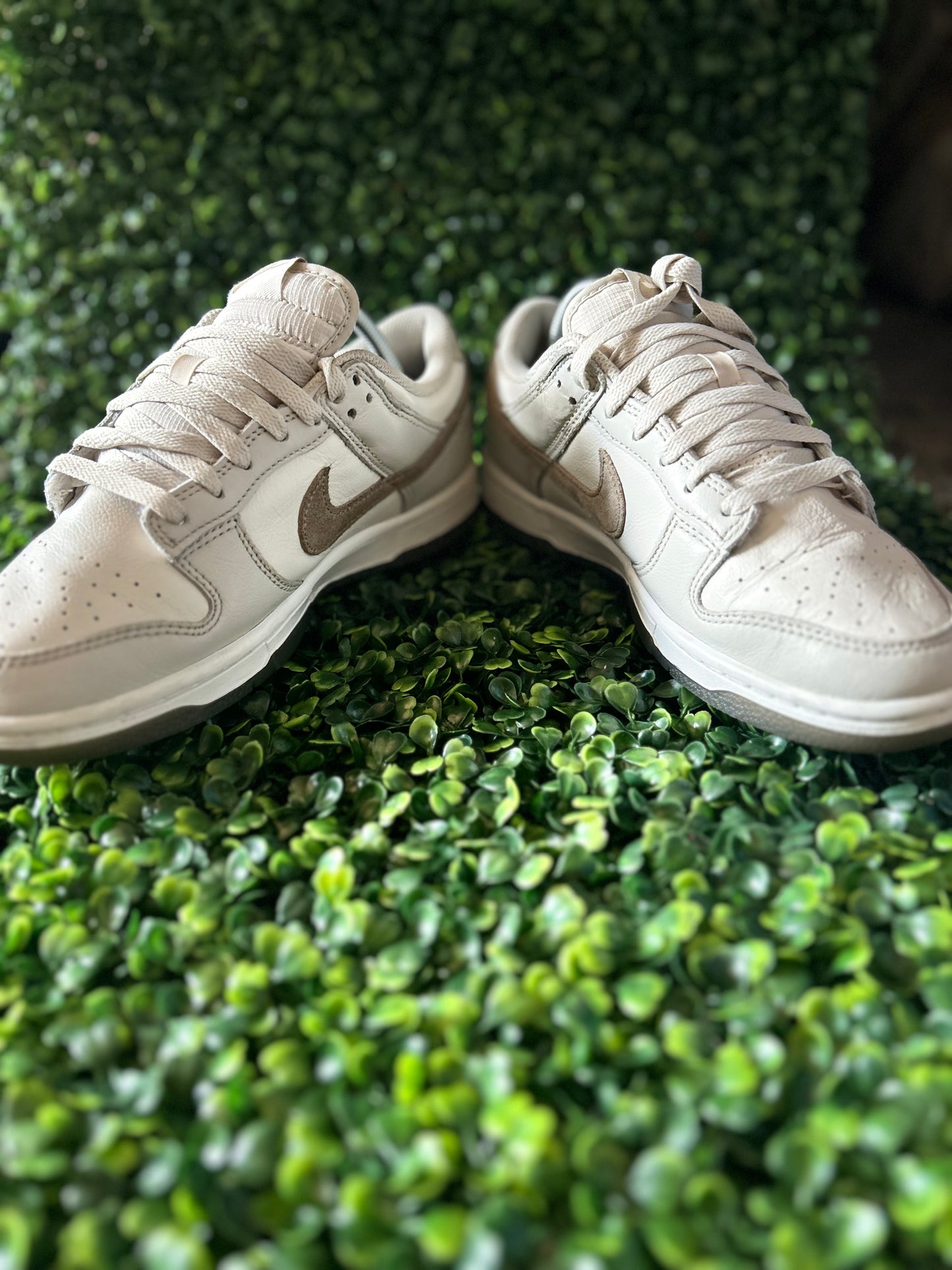 Nike dunk