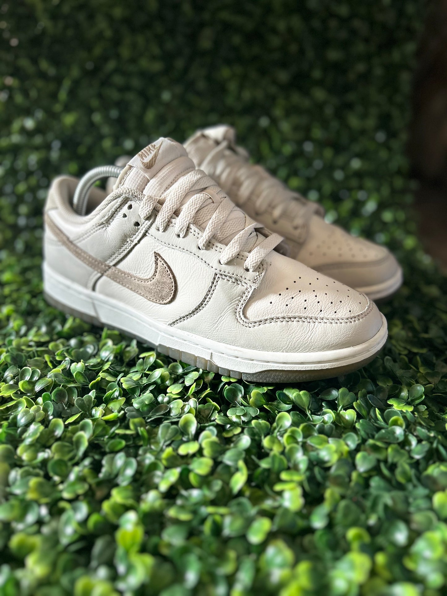 Nike dunk