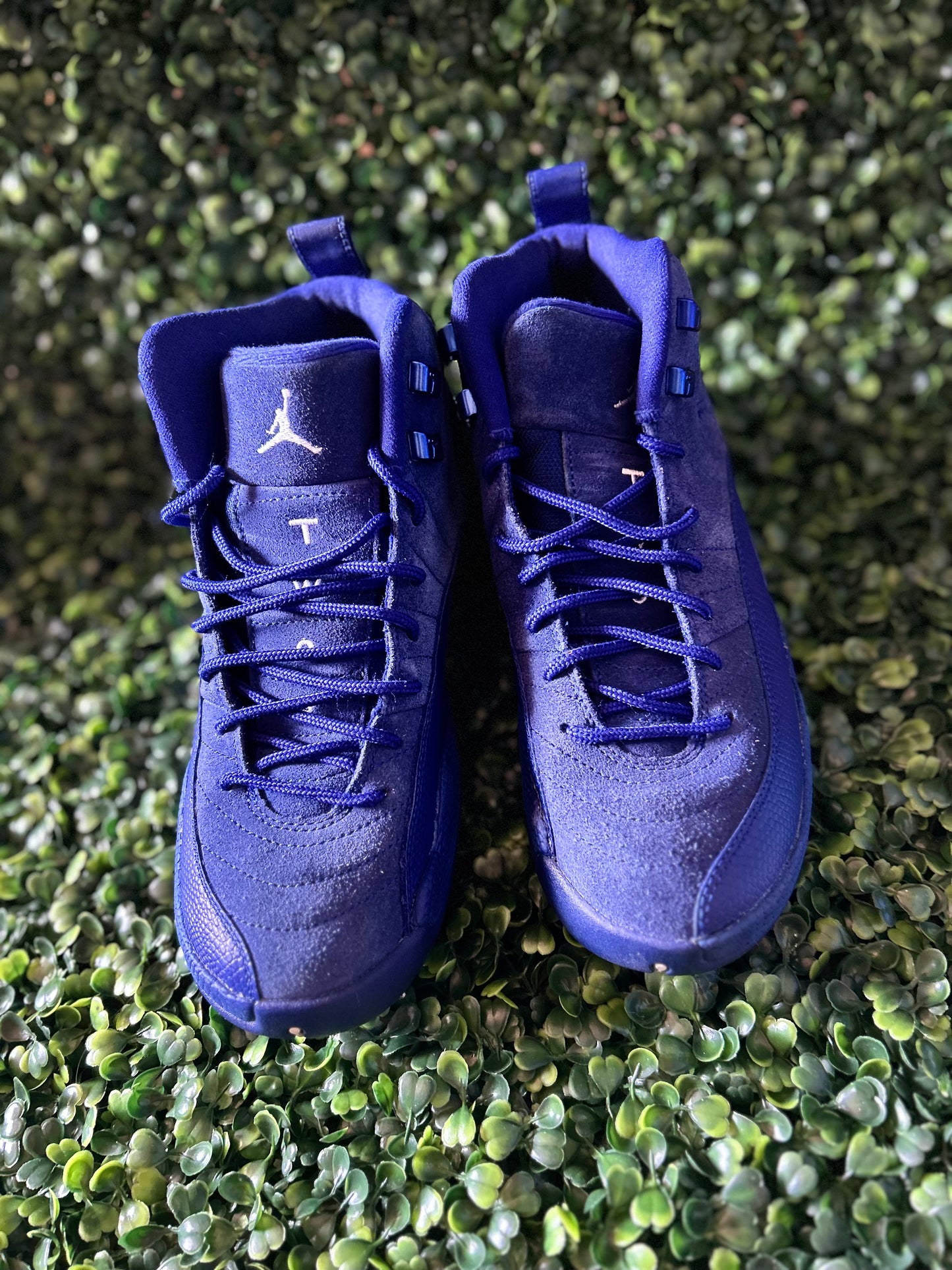 Jordan 12