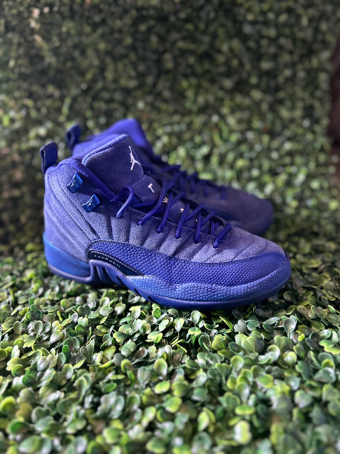 Jordan 12