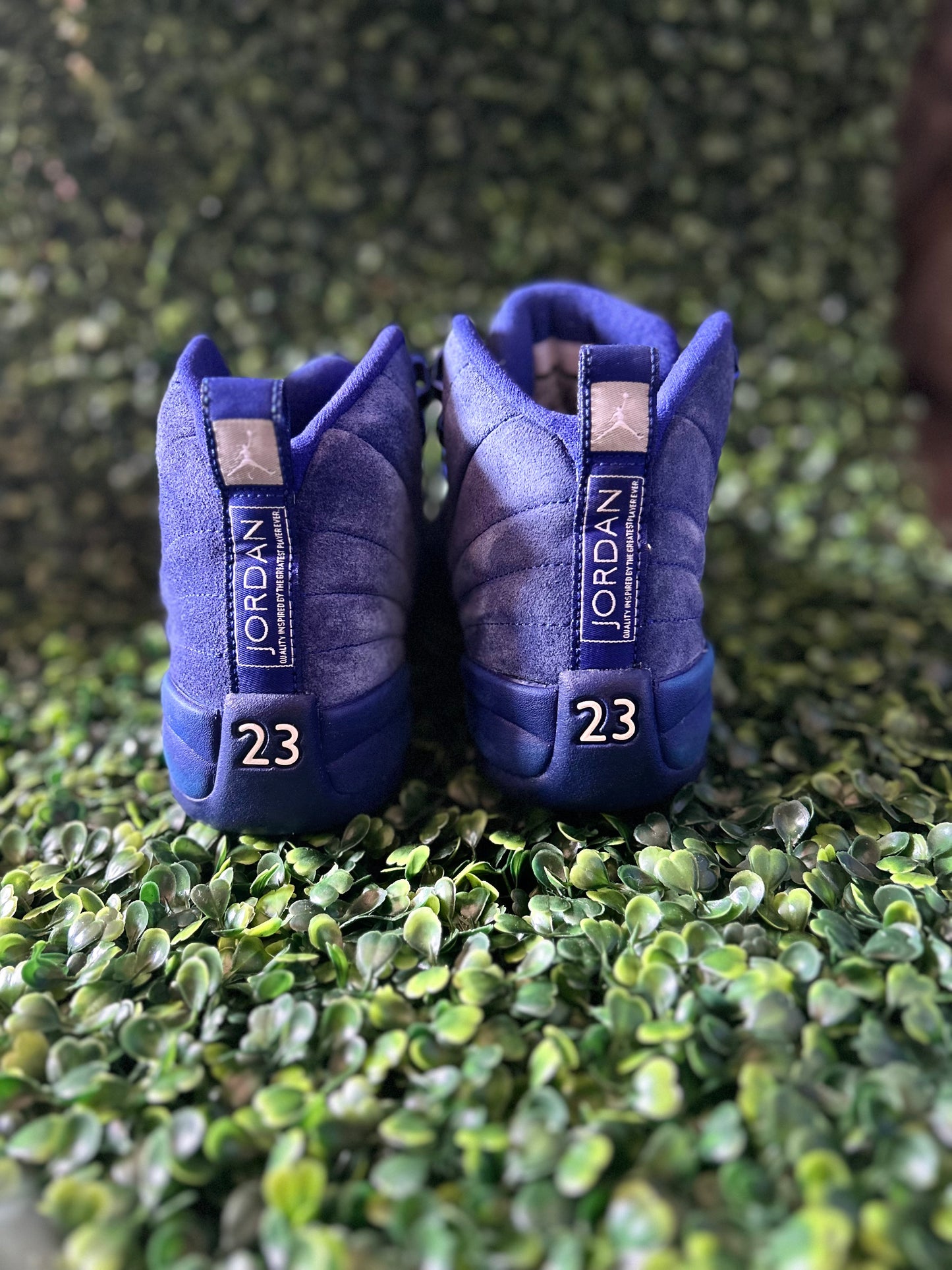 Jordan 12