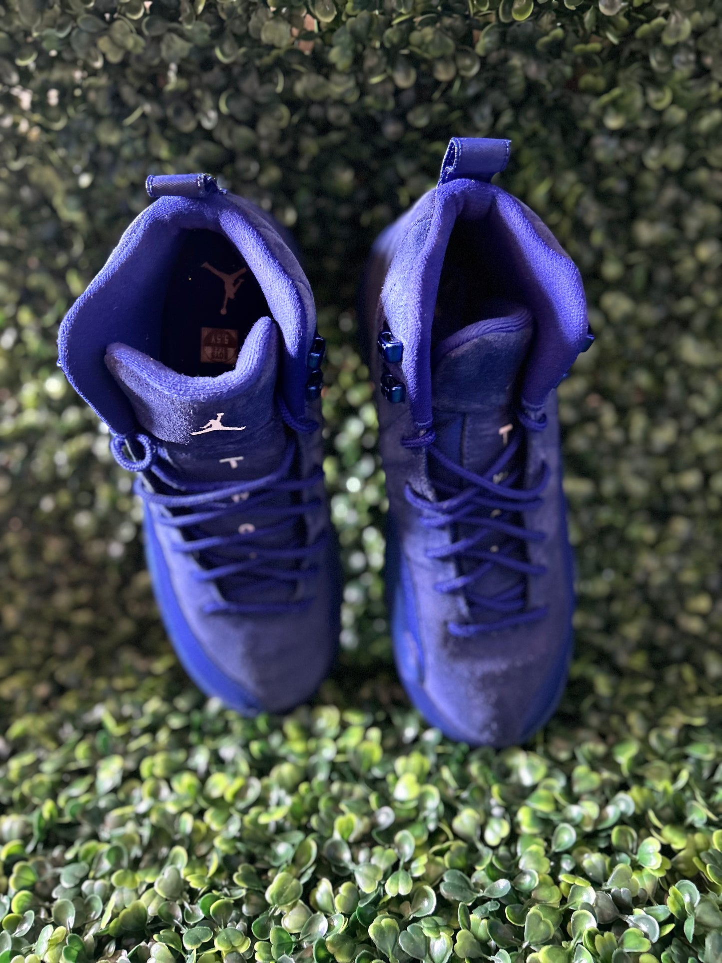 Jordan 12