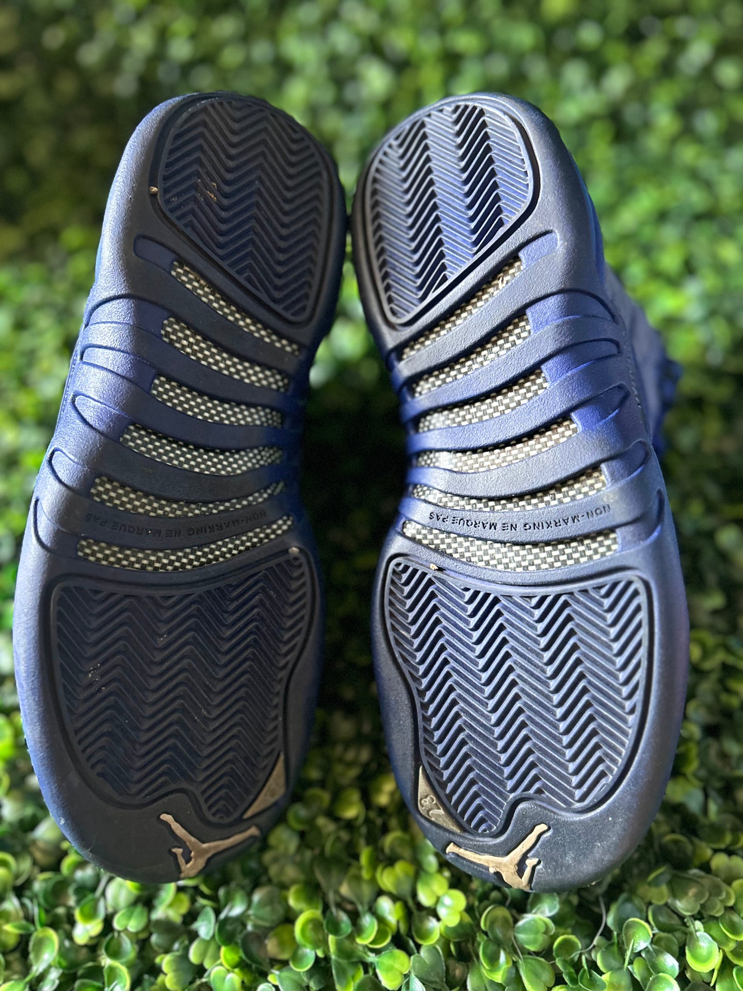 Jordan 12