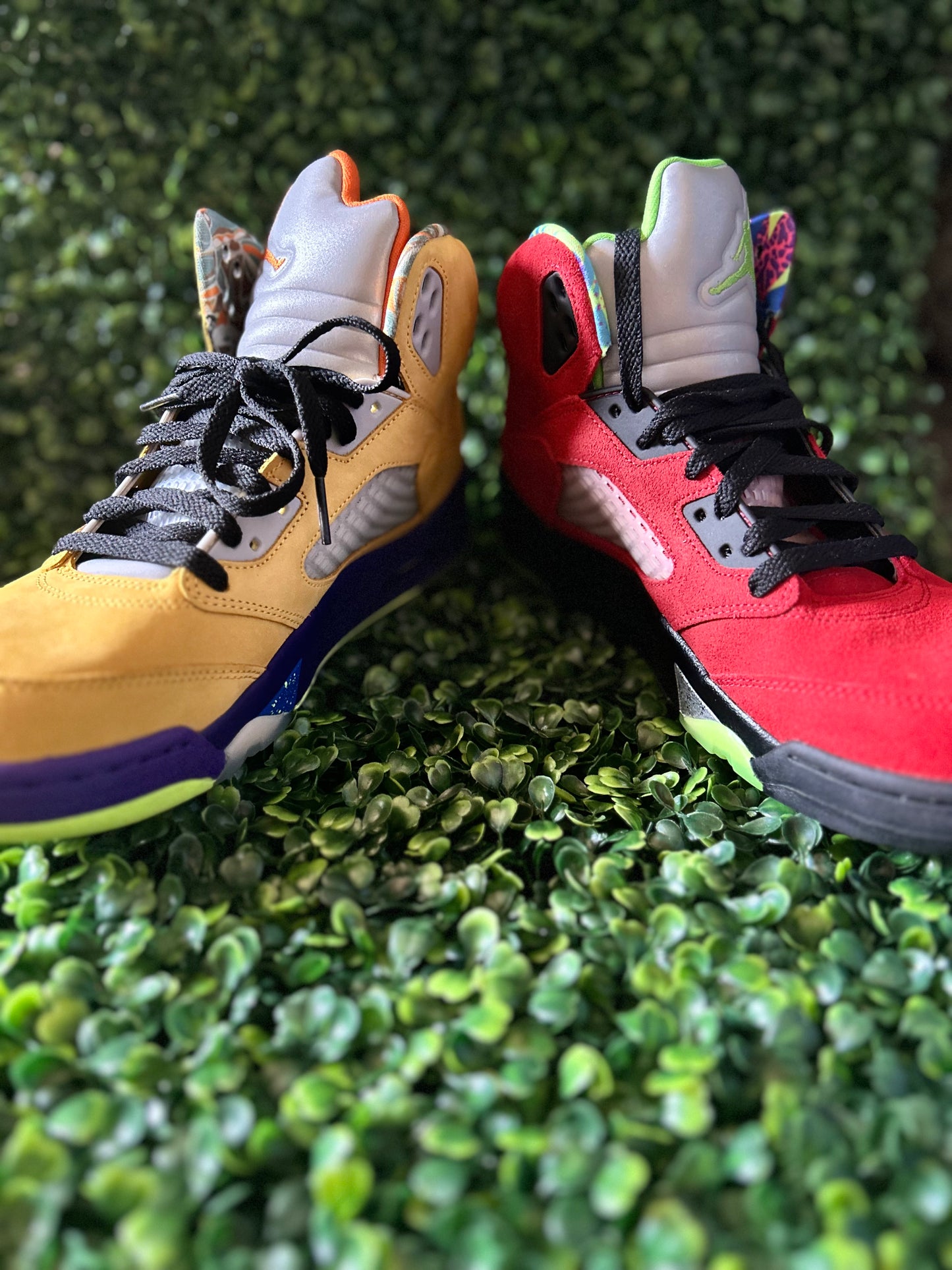 Jordan 5