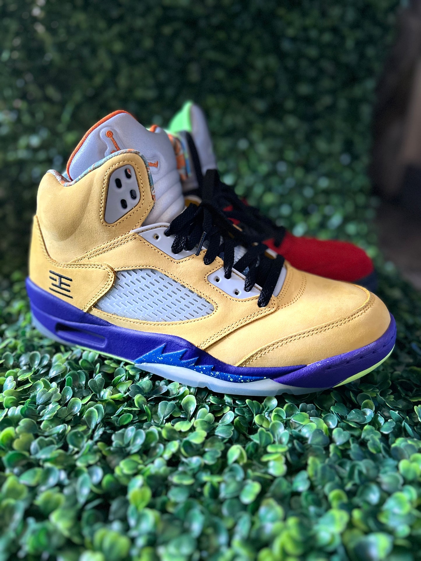 Jordan 5