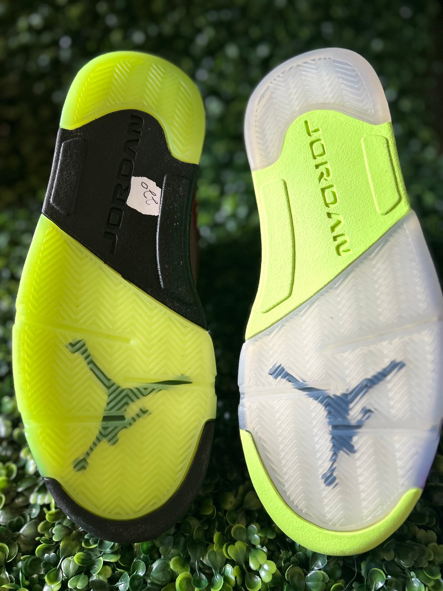 Jordan 5