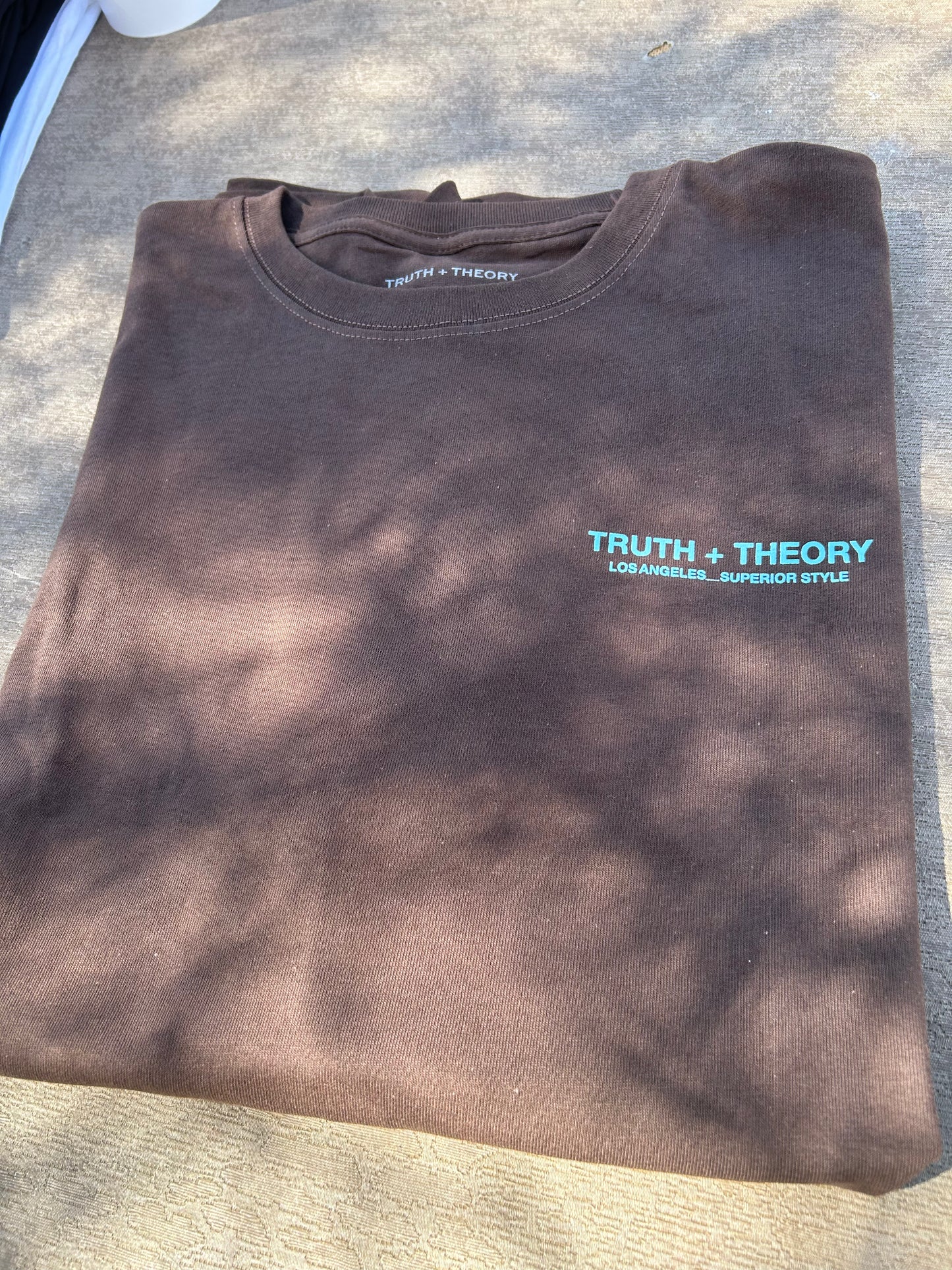 Truth and theory