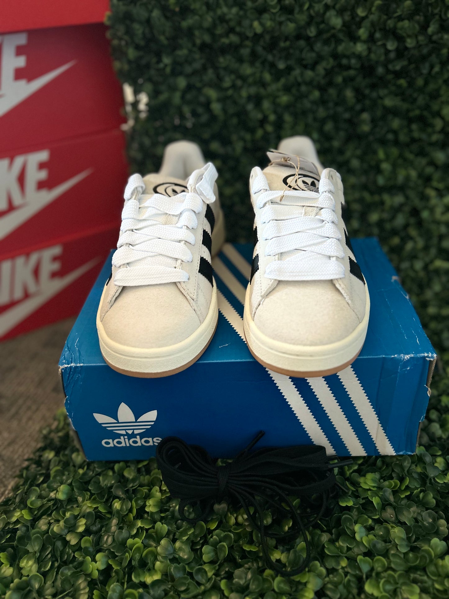 Adidas campus