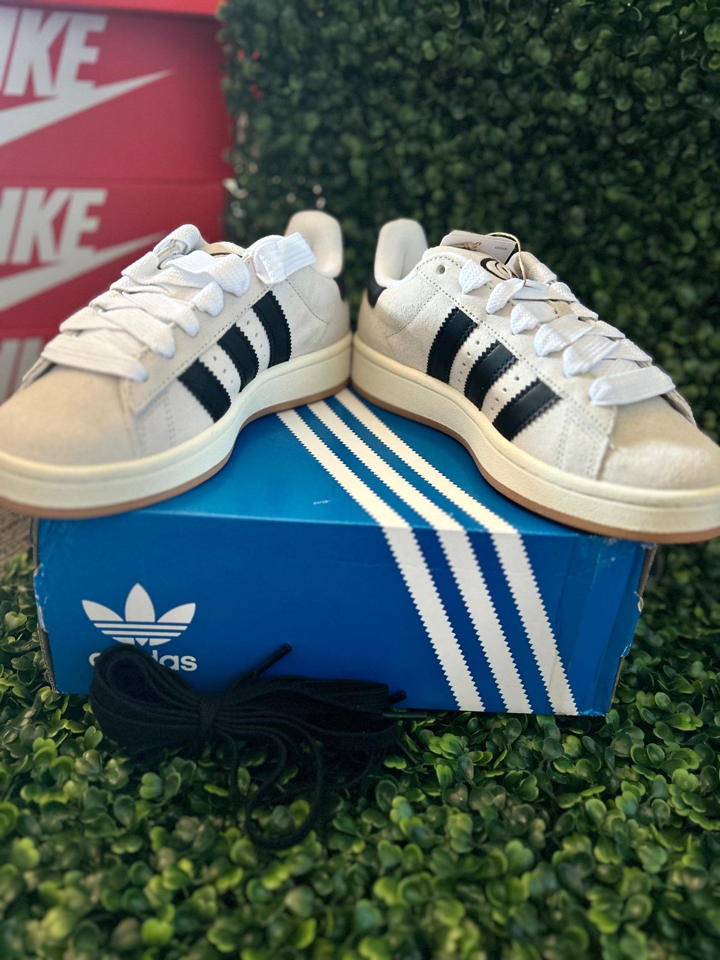 Adidas campus