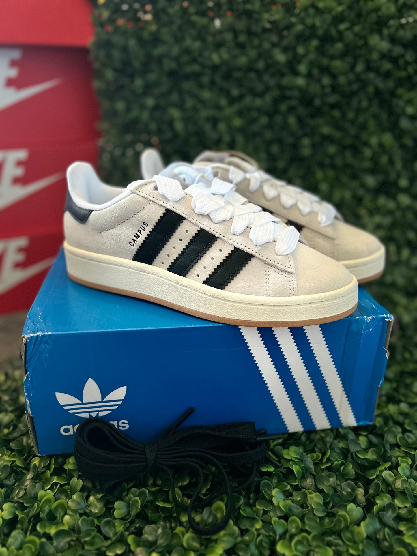 Adidas campus
