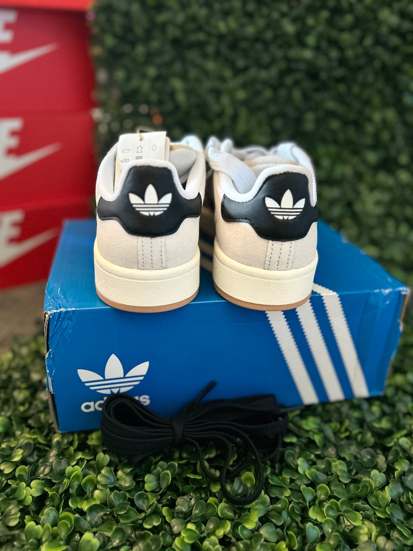 Adidas campus