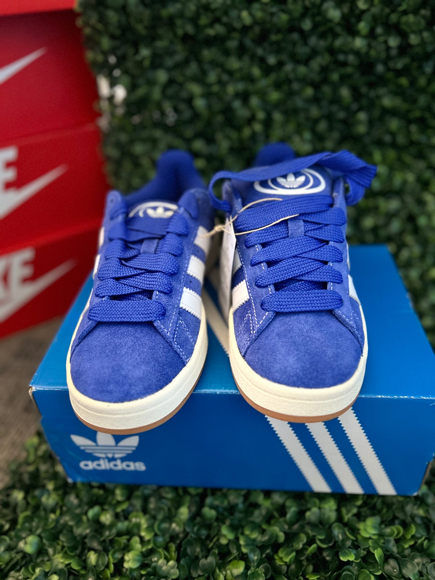 Adidas campus