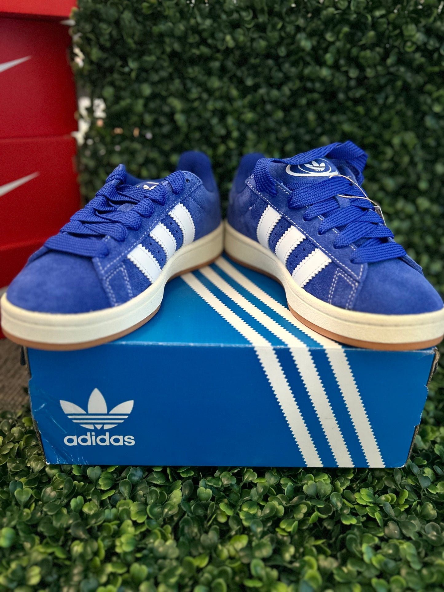 Adidas campus