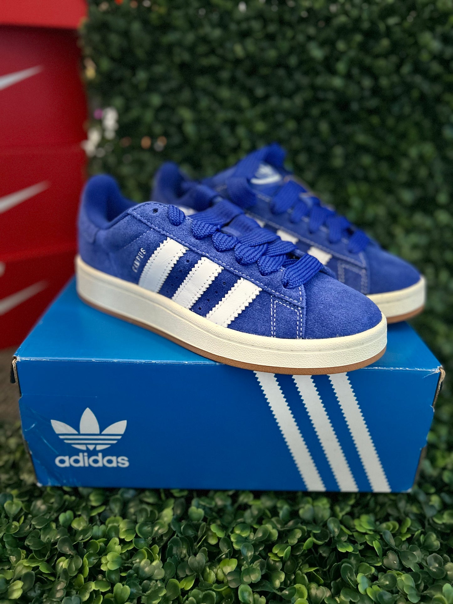 Adidas campus
