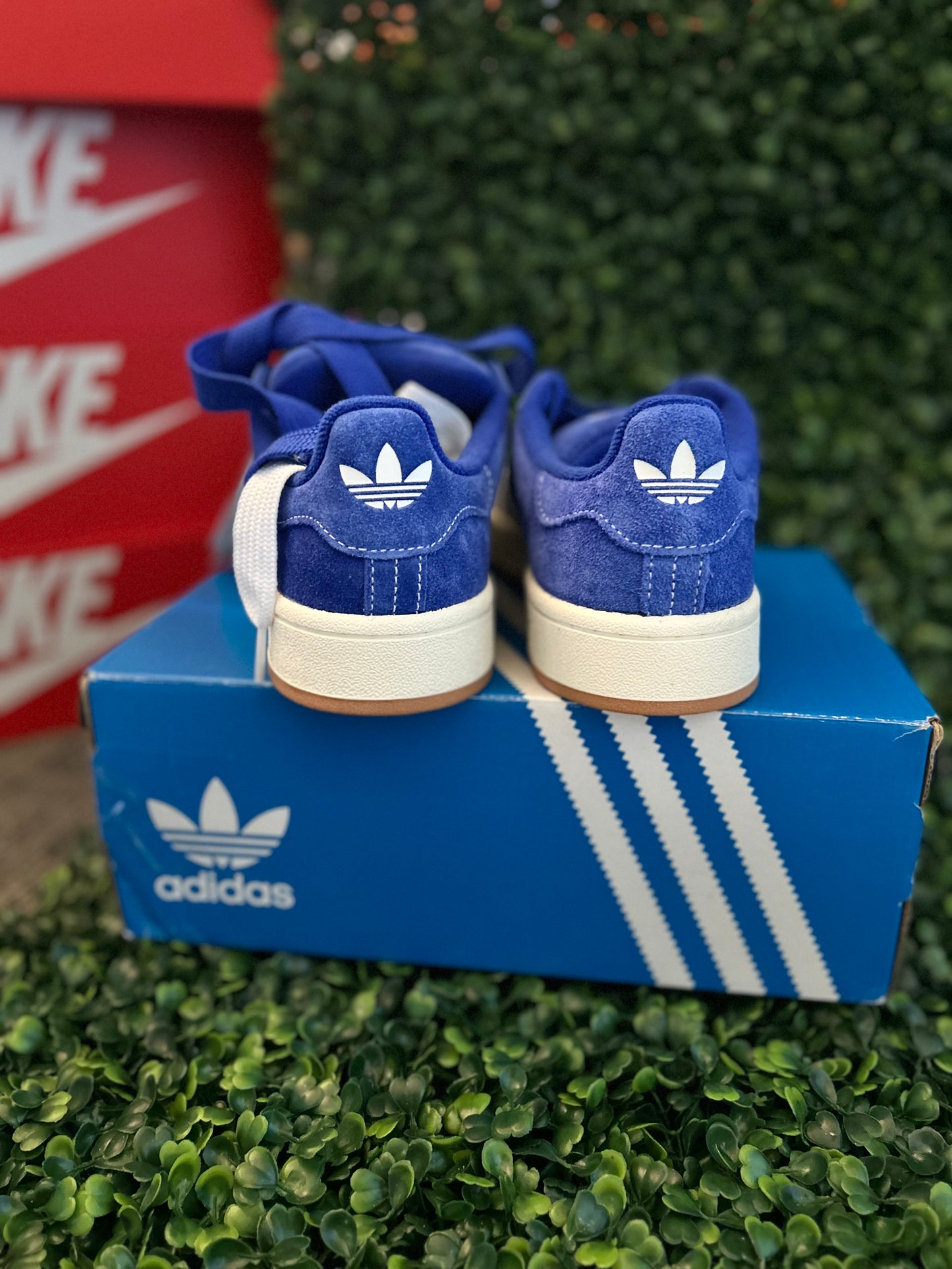 Adidas campus