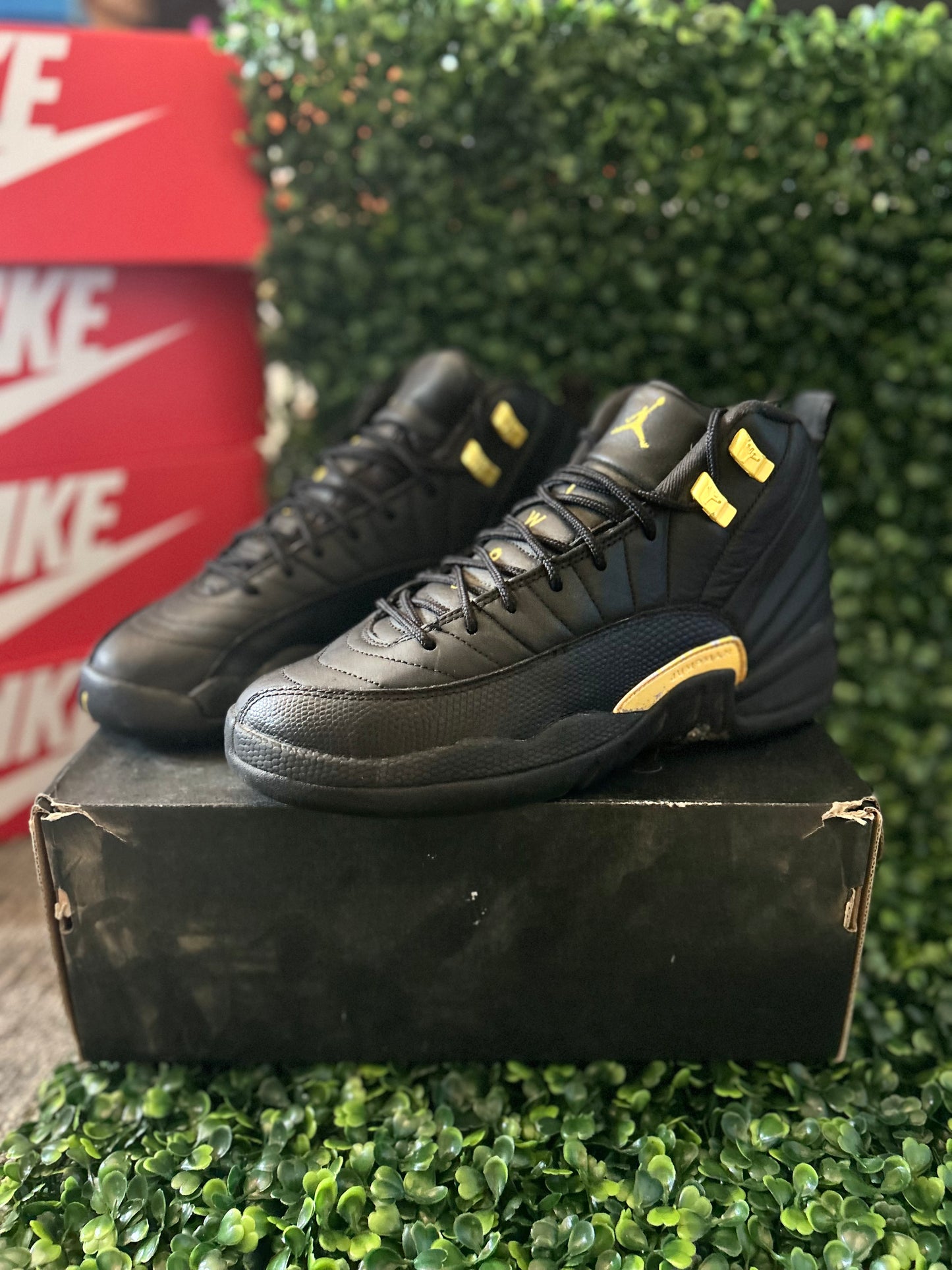 Jordan 12