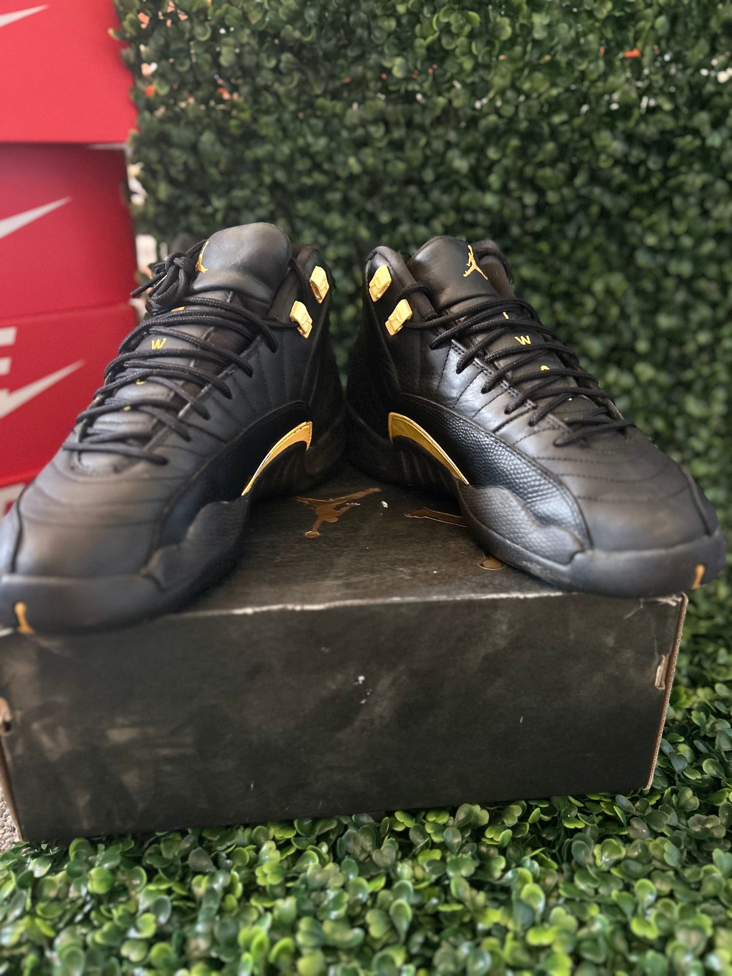 Jordan 12