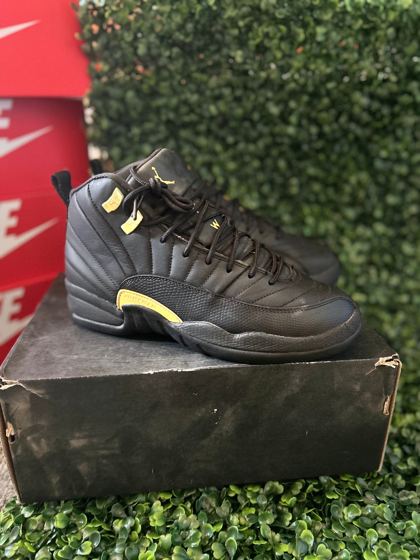 Jordan 12