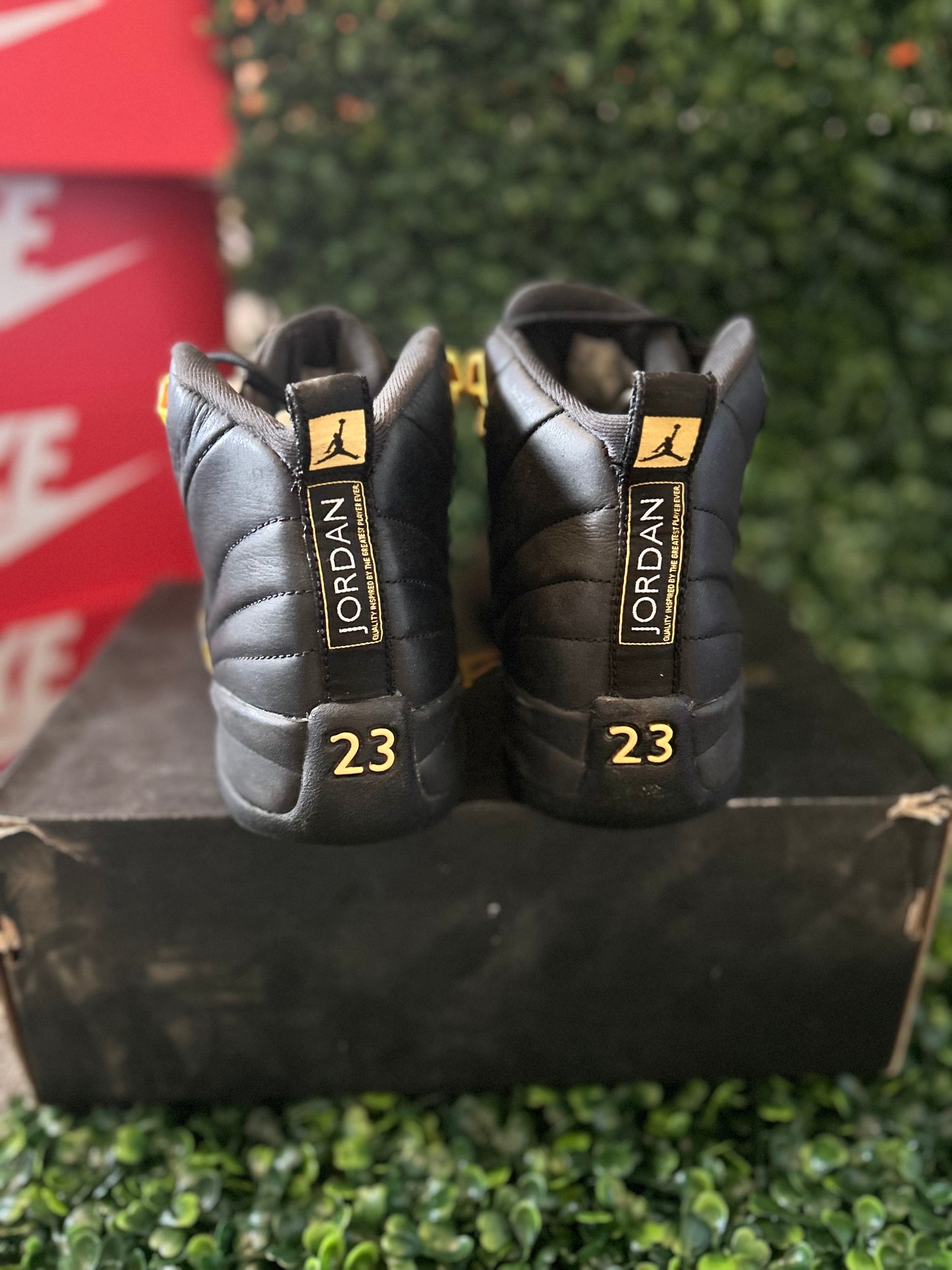 Jordan 12