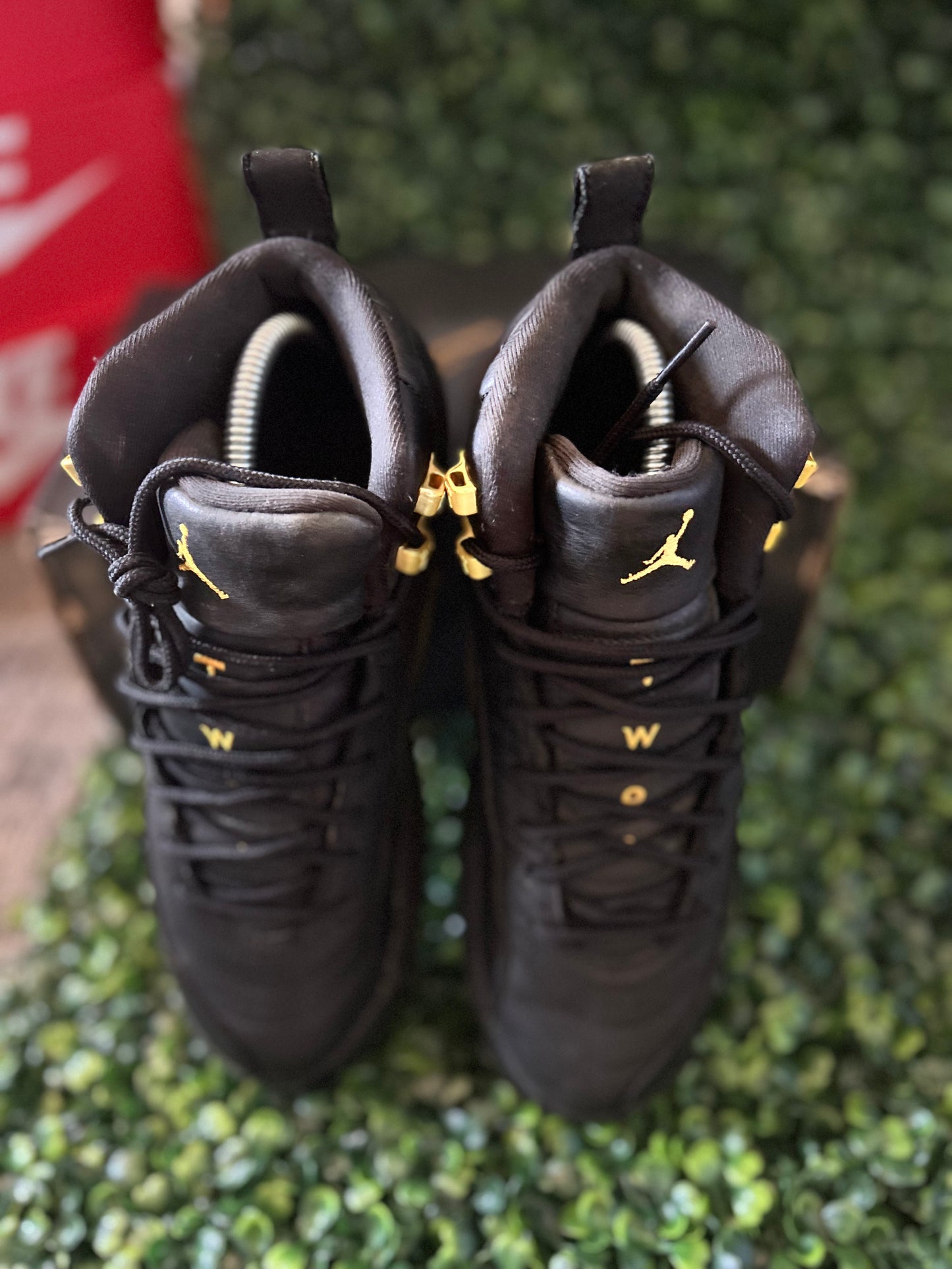 Jordan 12