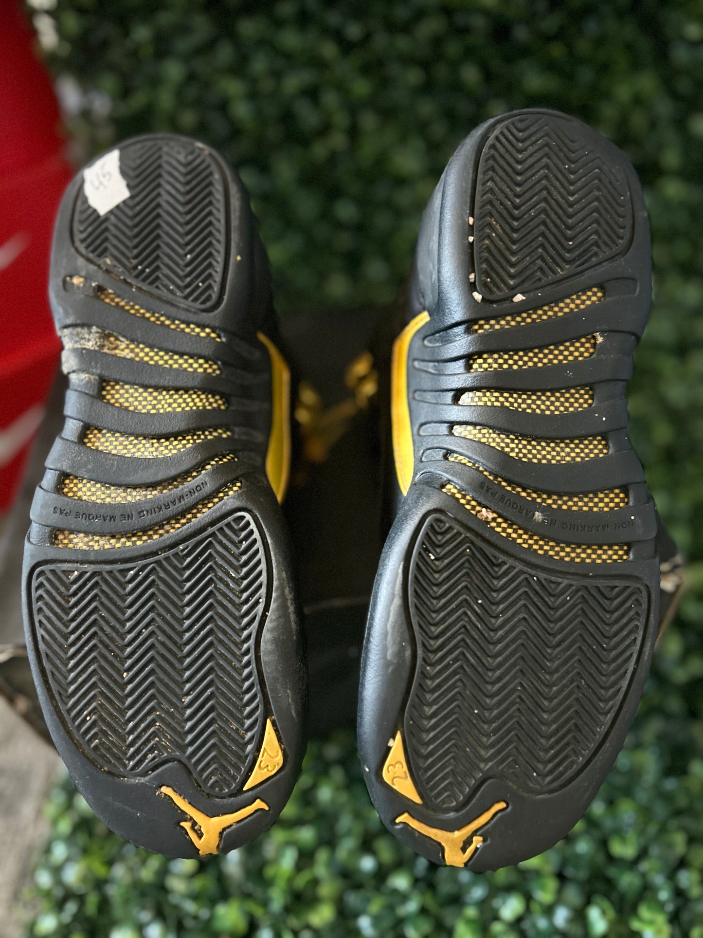 Jordan 12