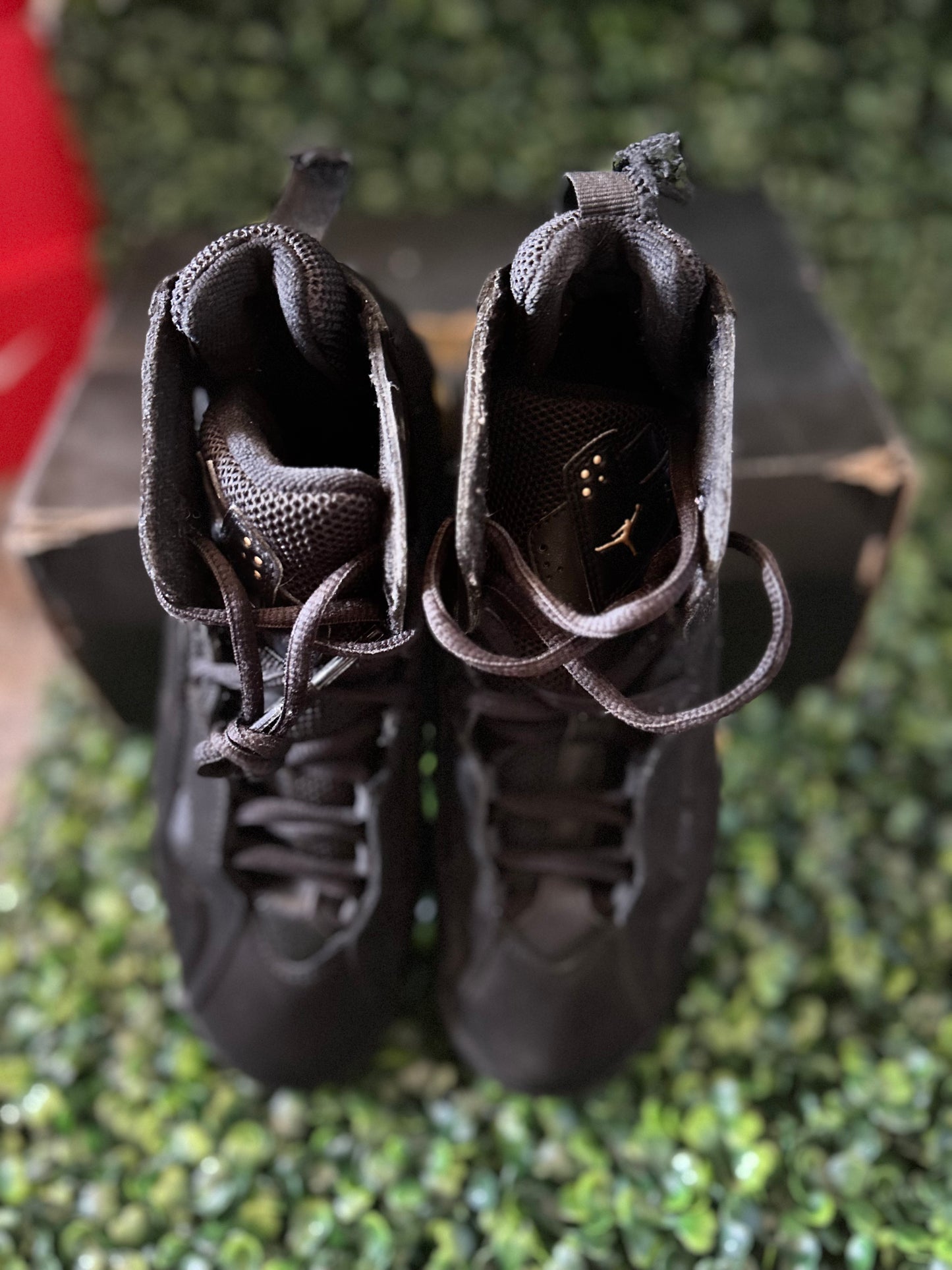 Jordan tru flight
