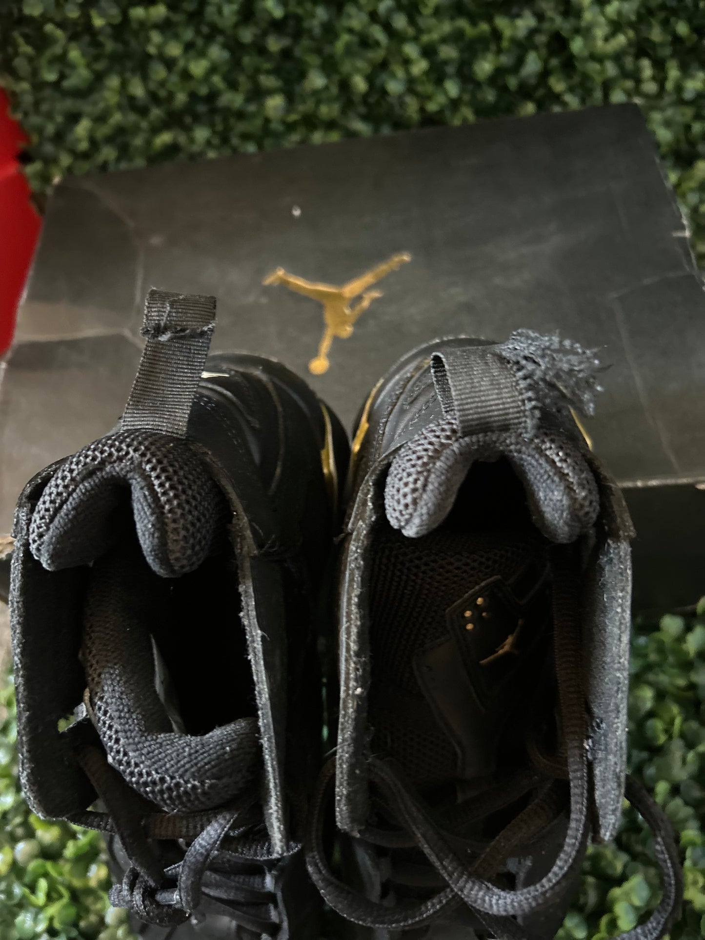 Jordan tru flight