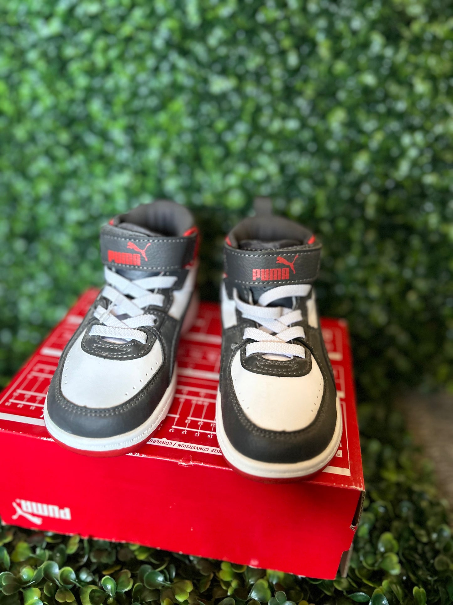 Puma