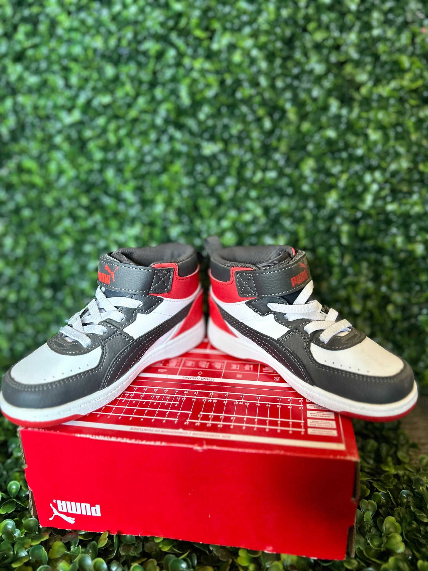 Puma