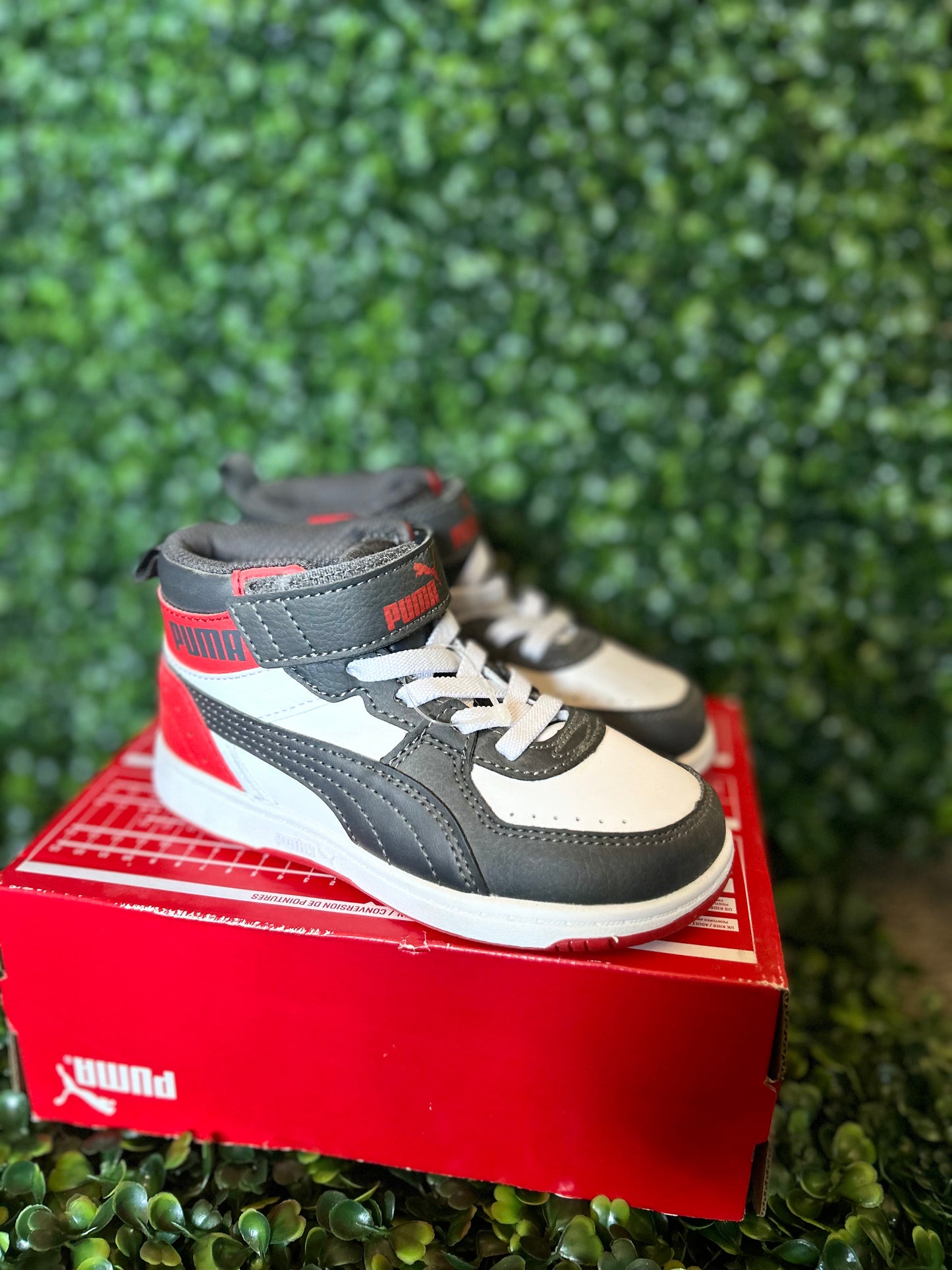 Puma