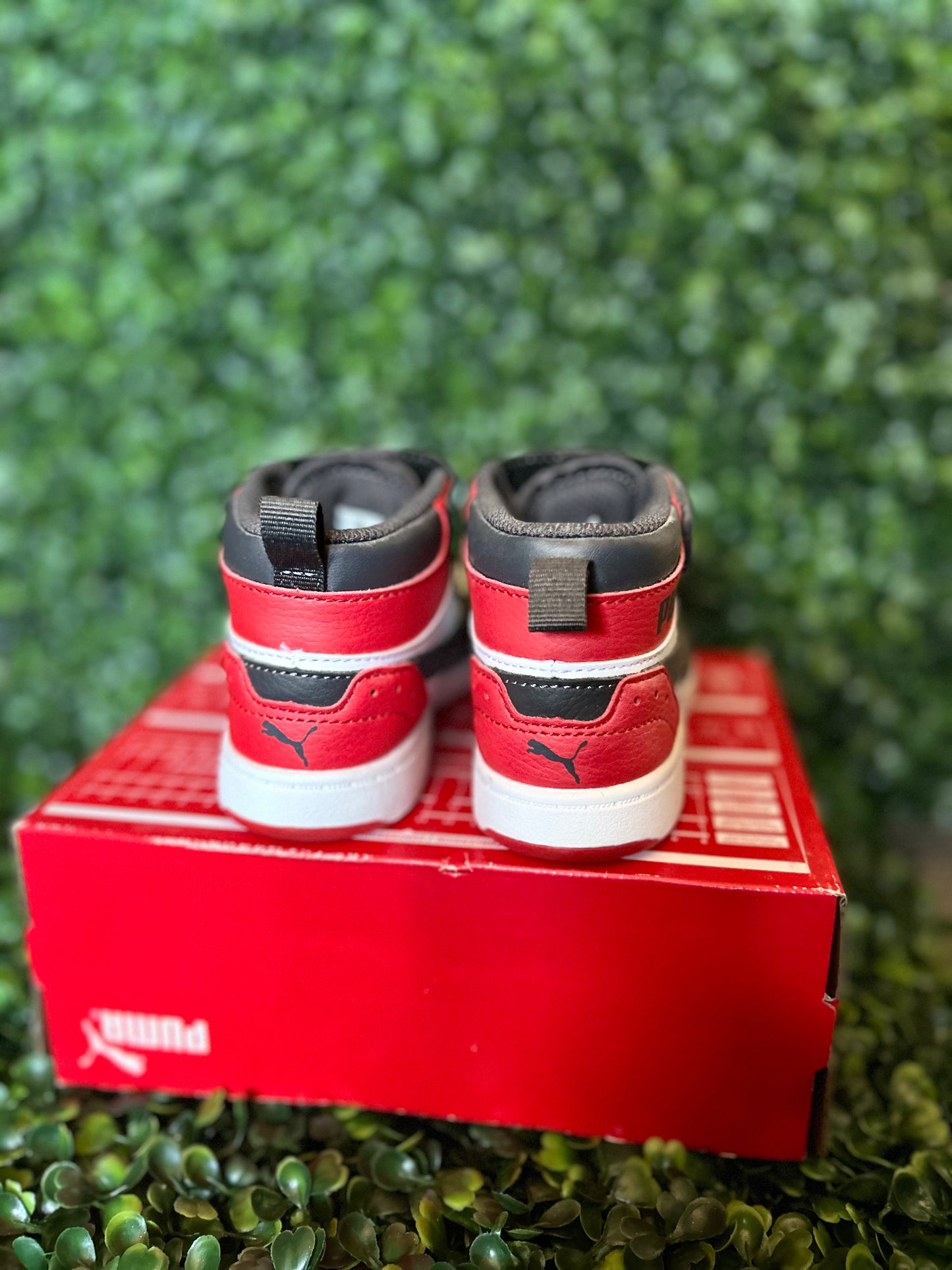 Puma