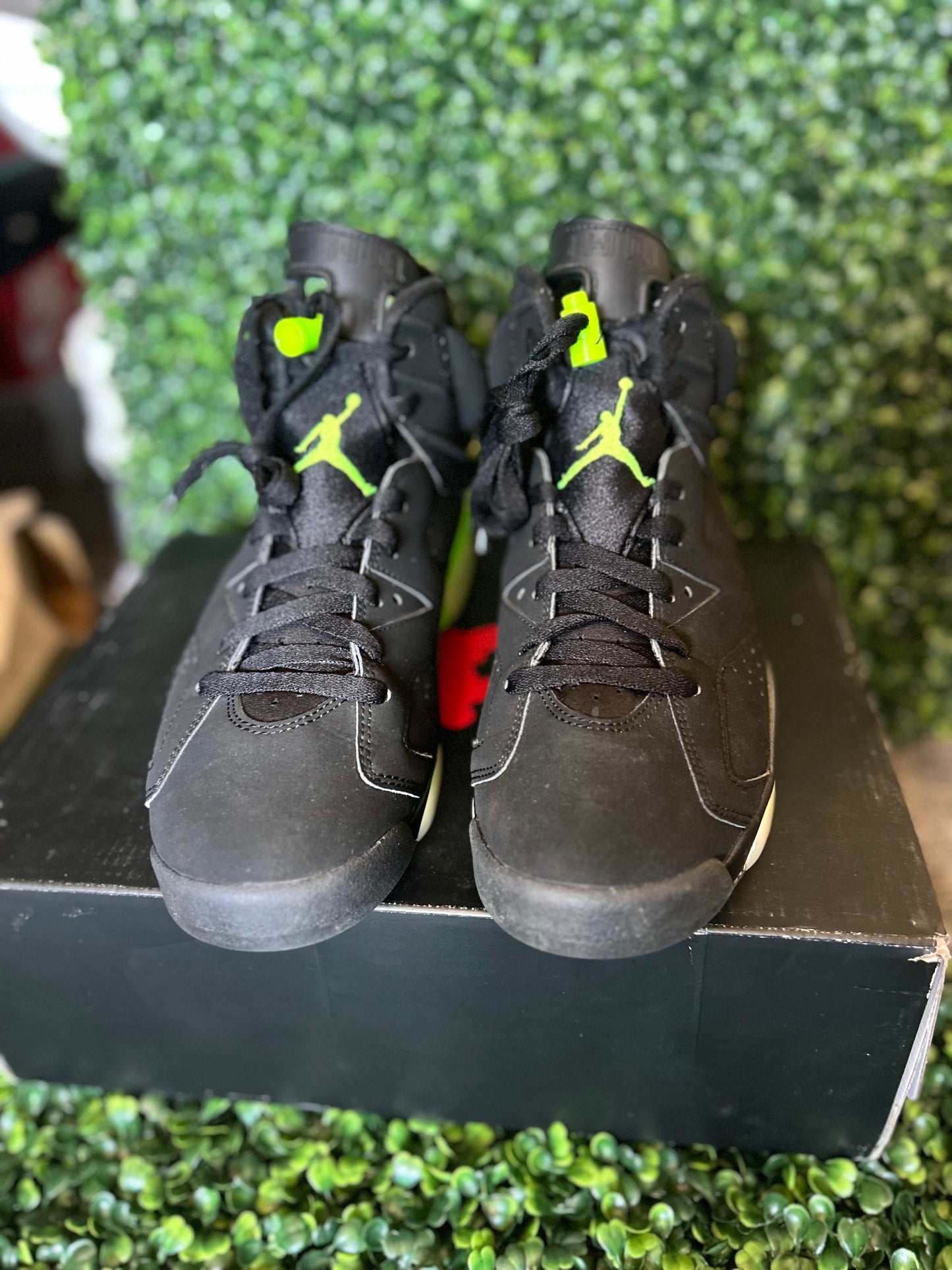 Jordan 6