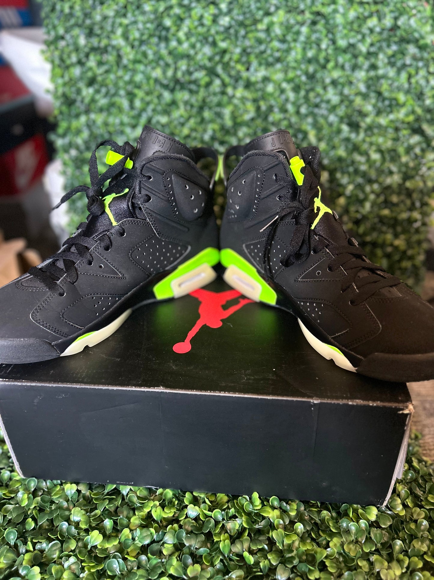 Jordan 6