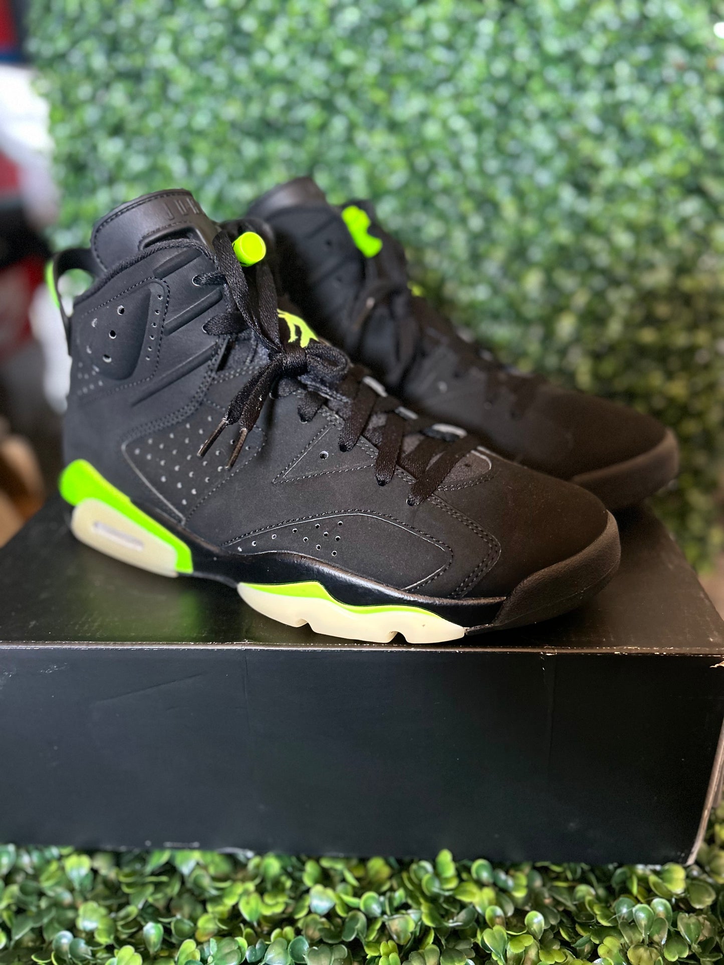 Jordan 6