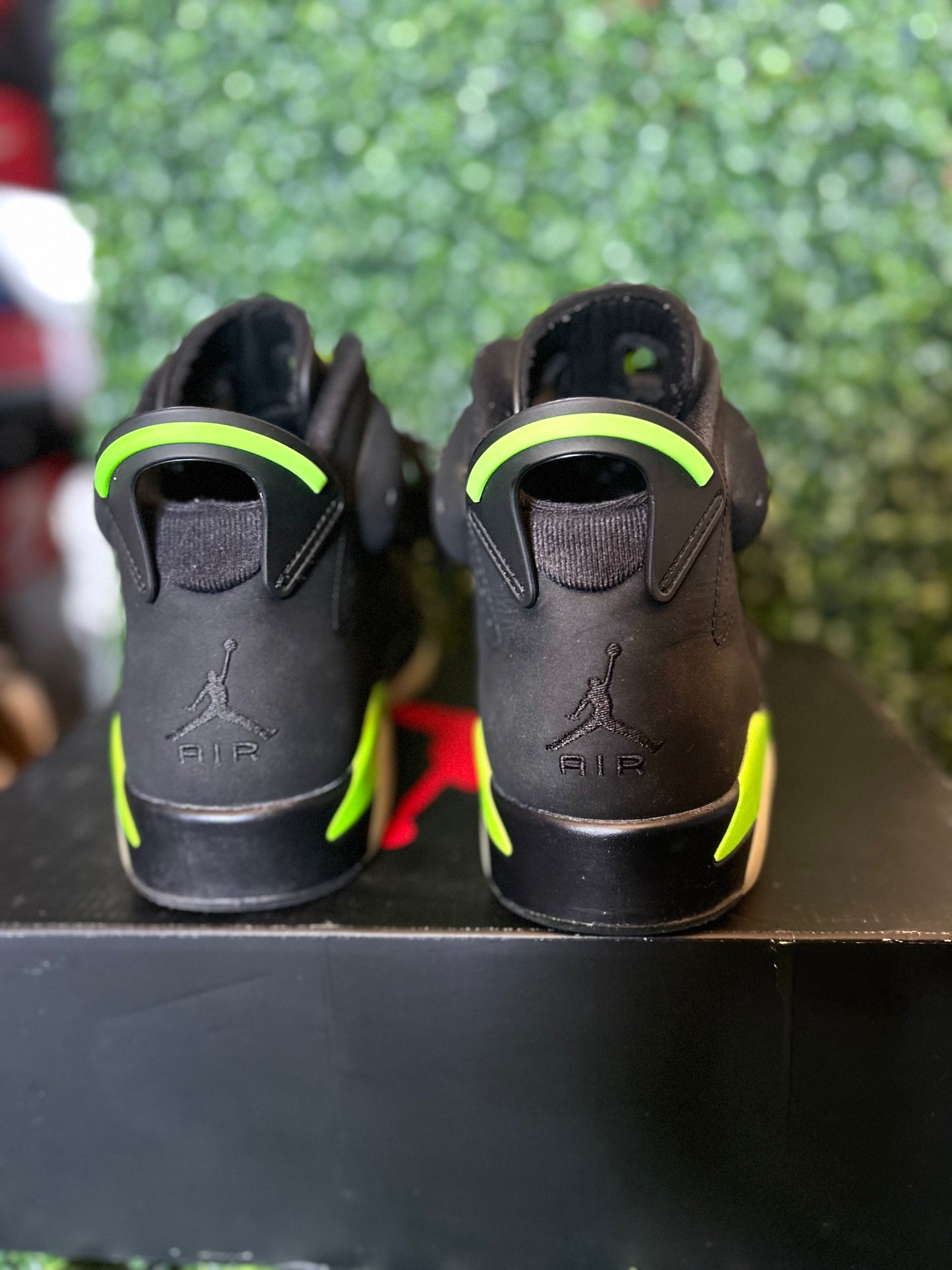 Jordan 6