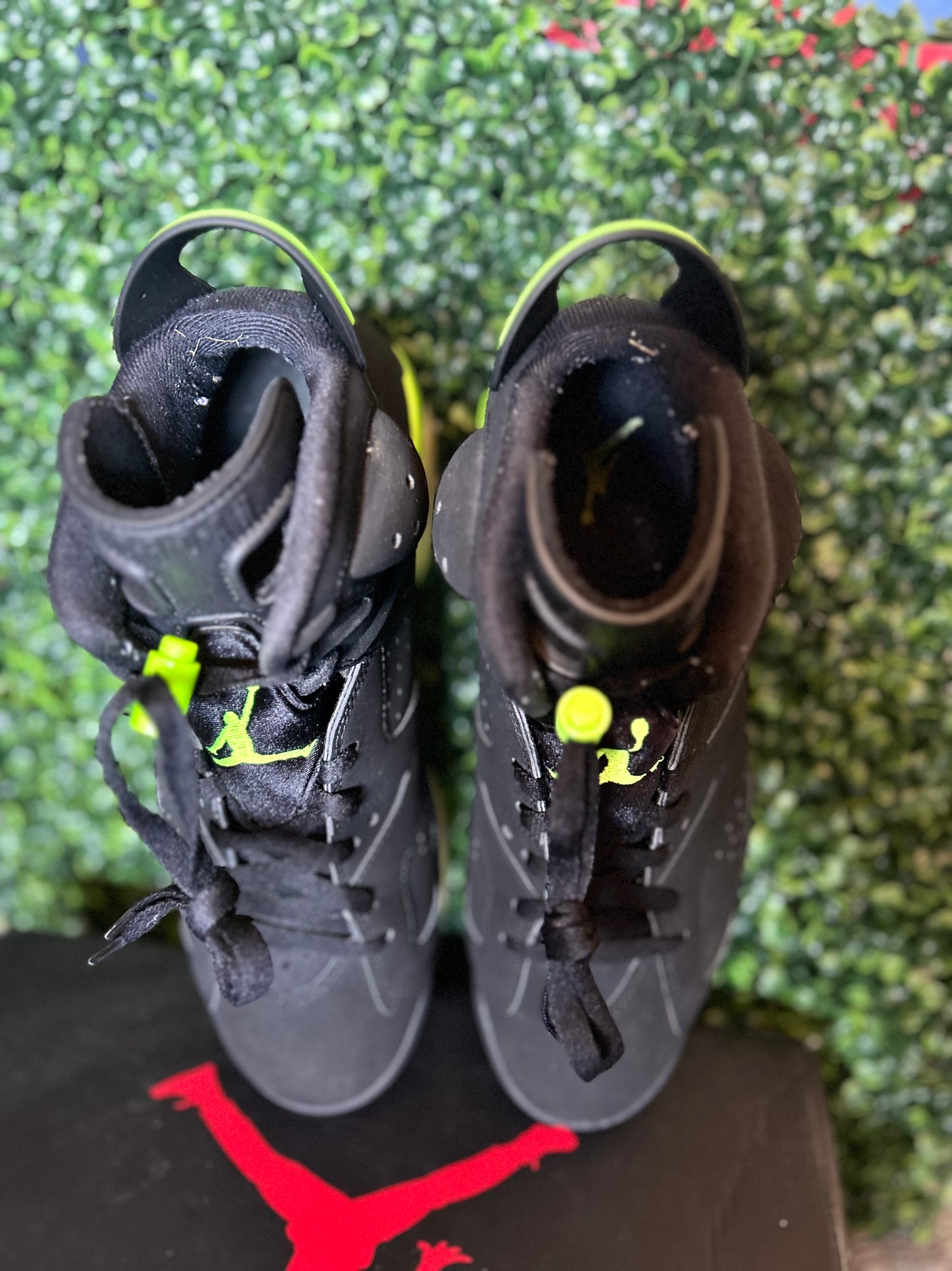 Jordan 6