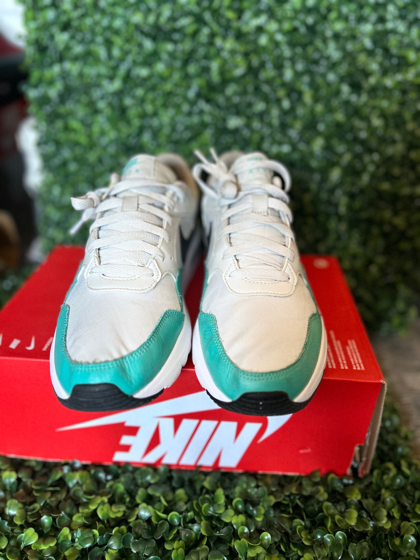 Nike air max