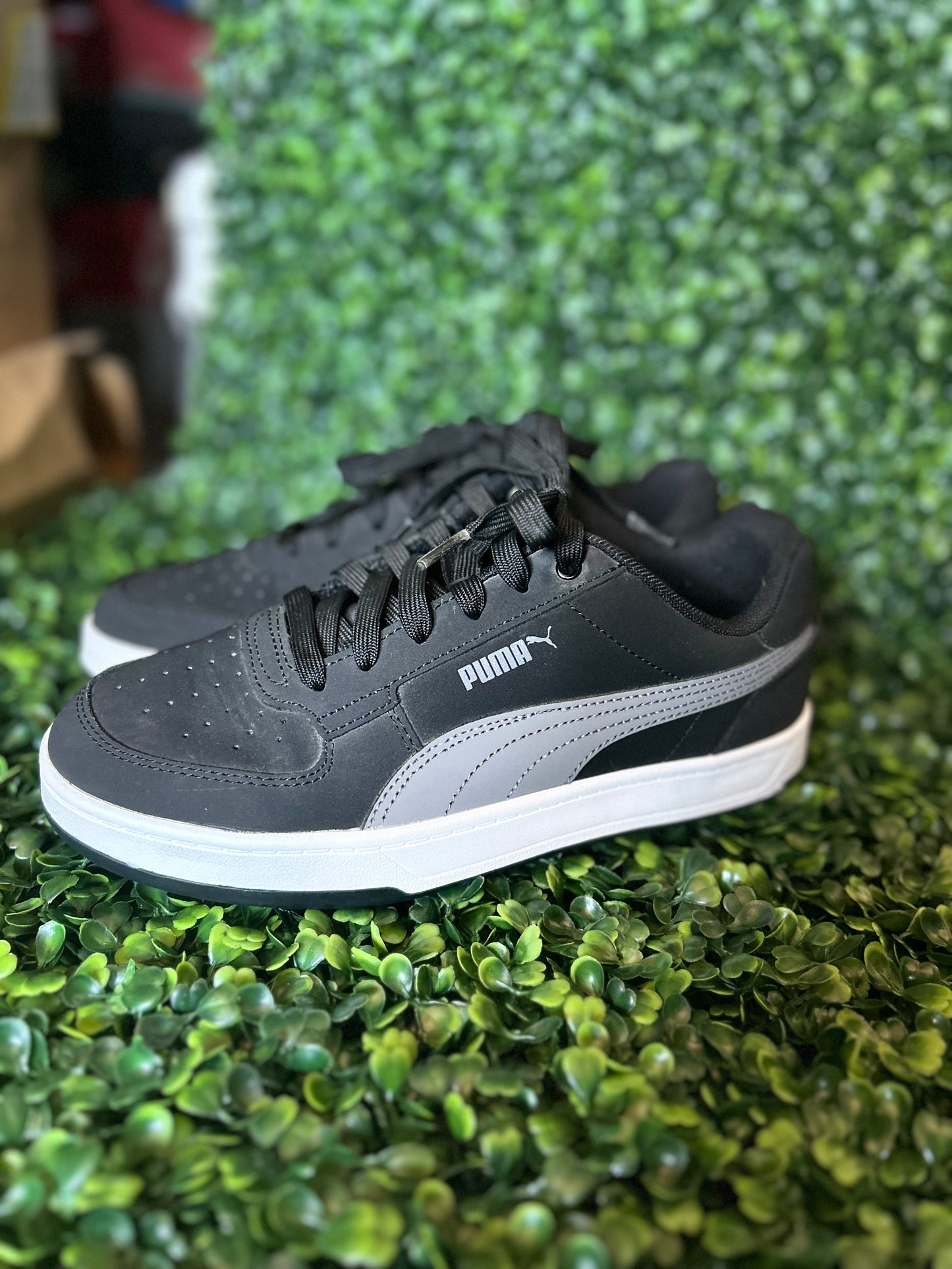 Puma