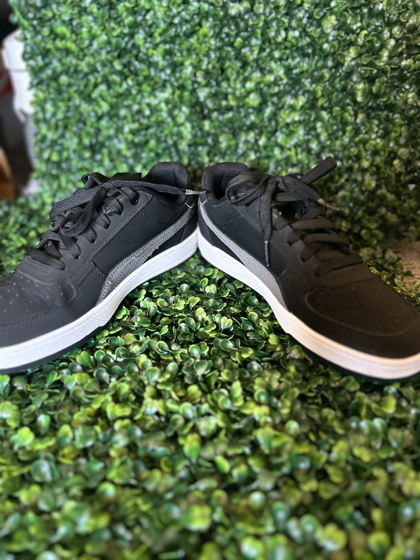 Puma