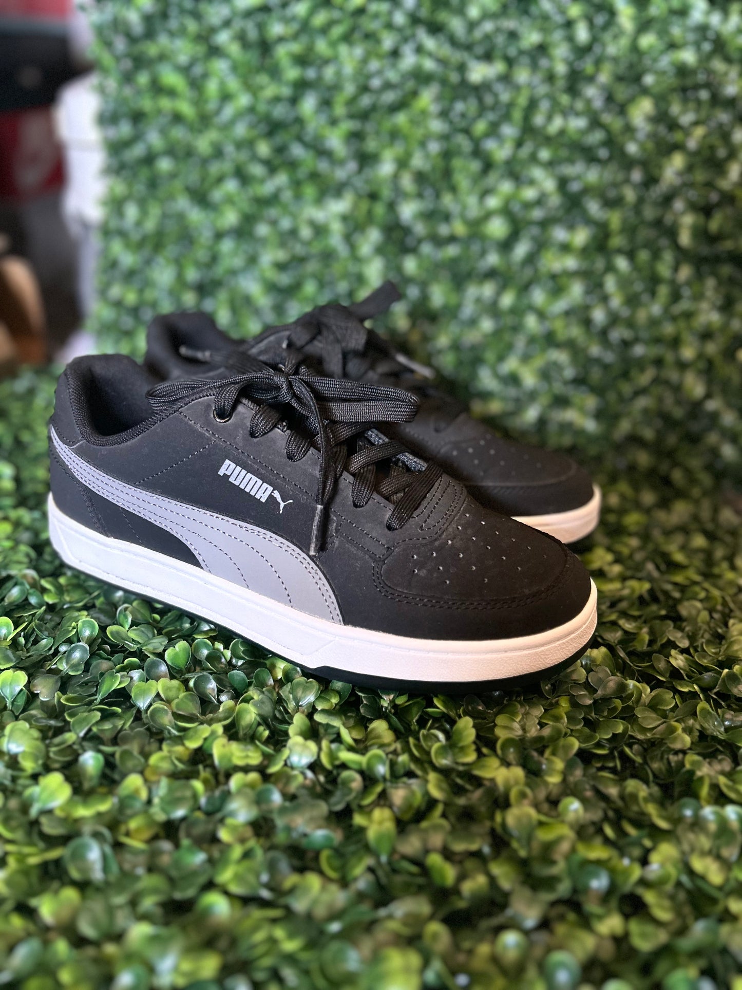 Puma