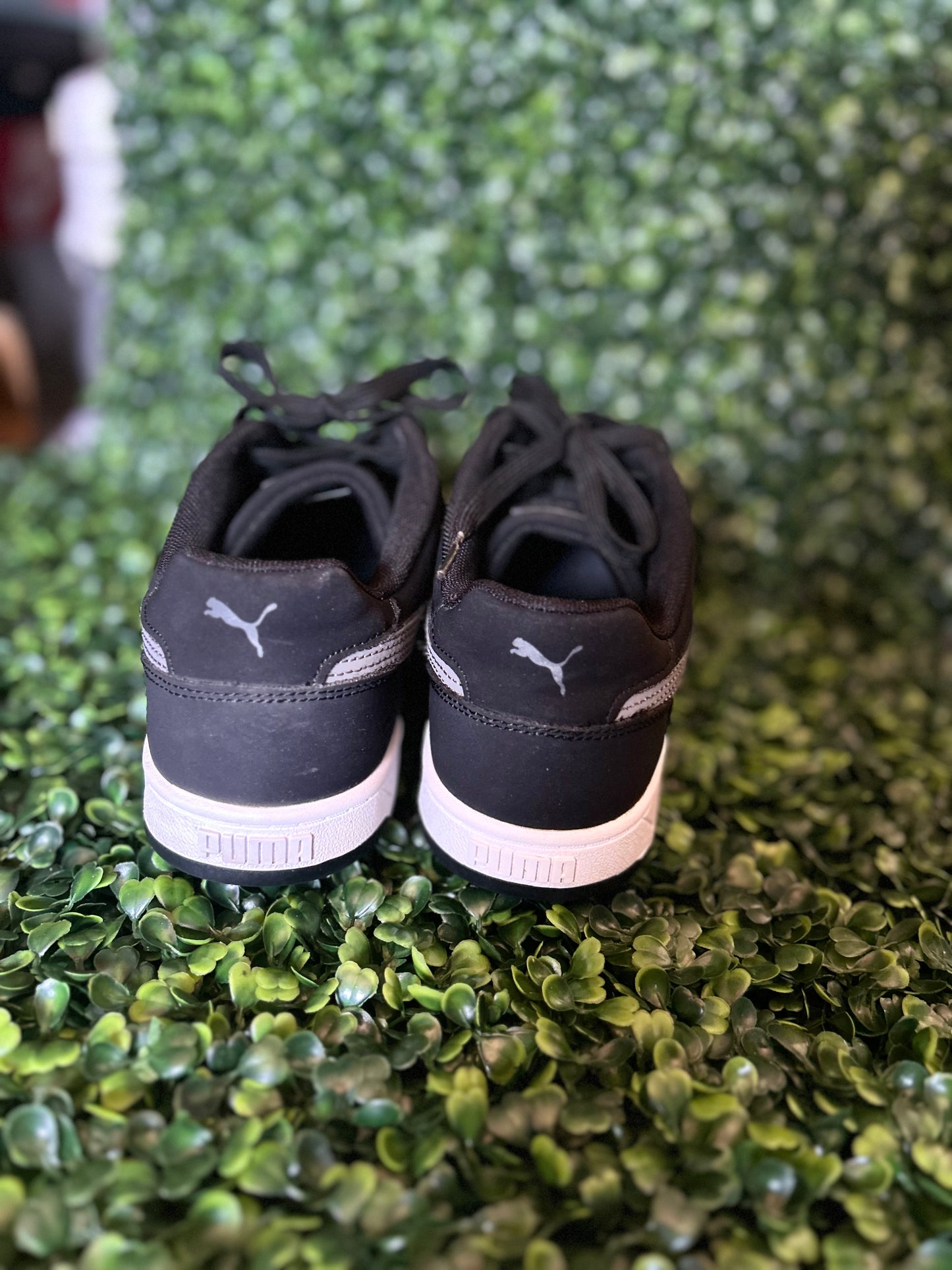 Puma