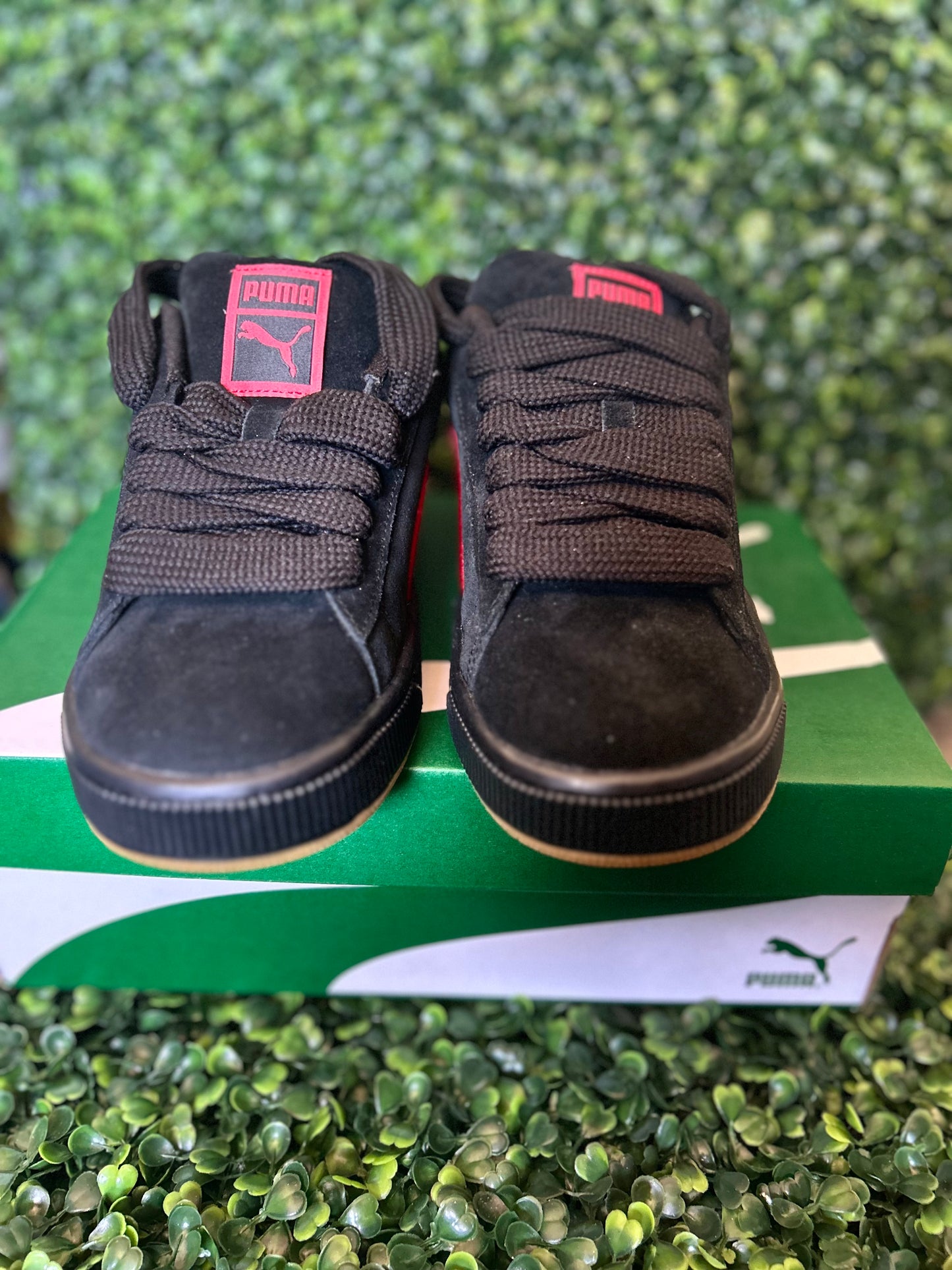 Puma