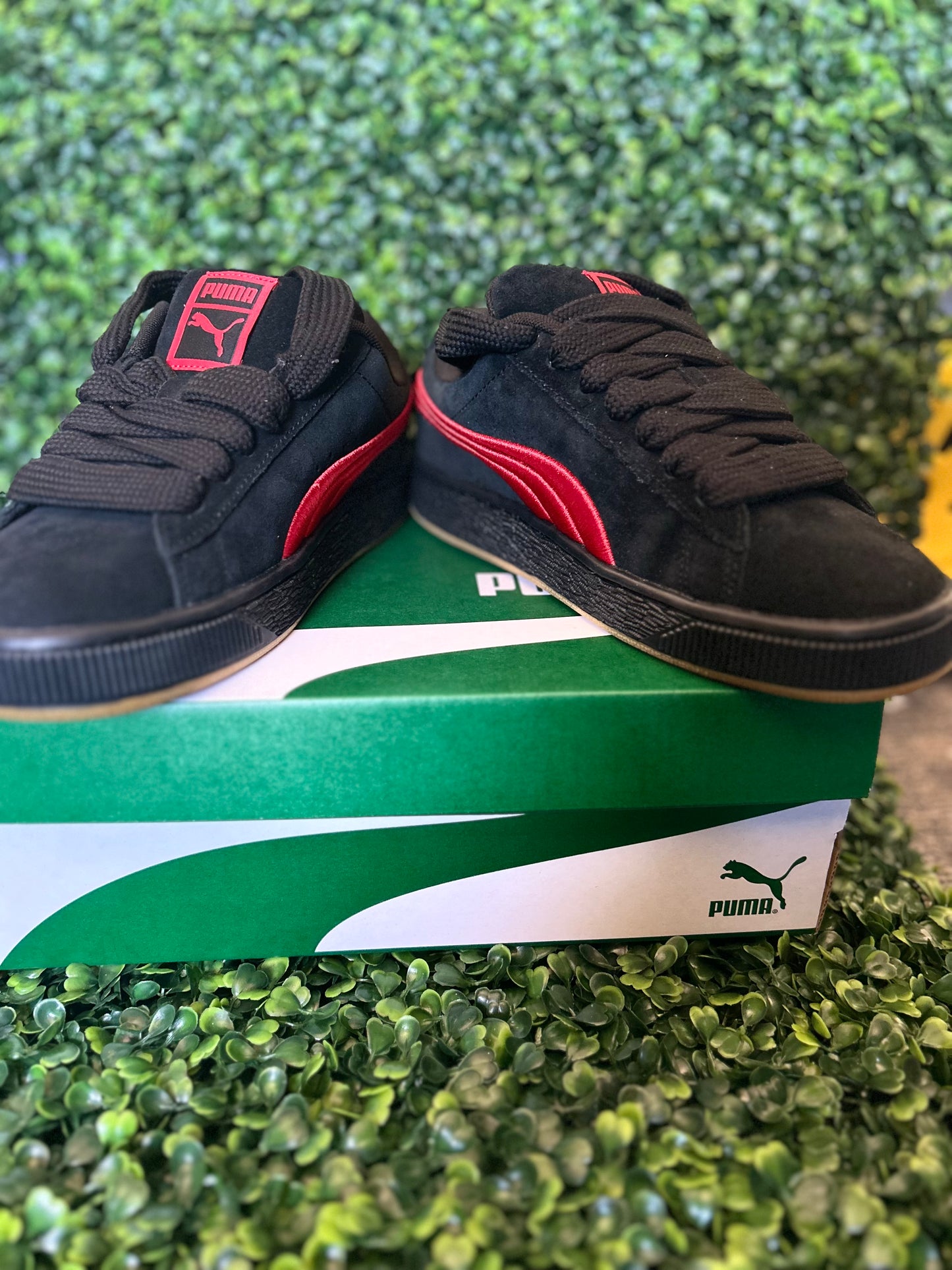 Puma