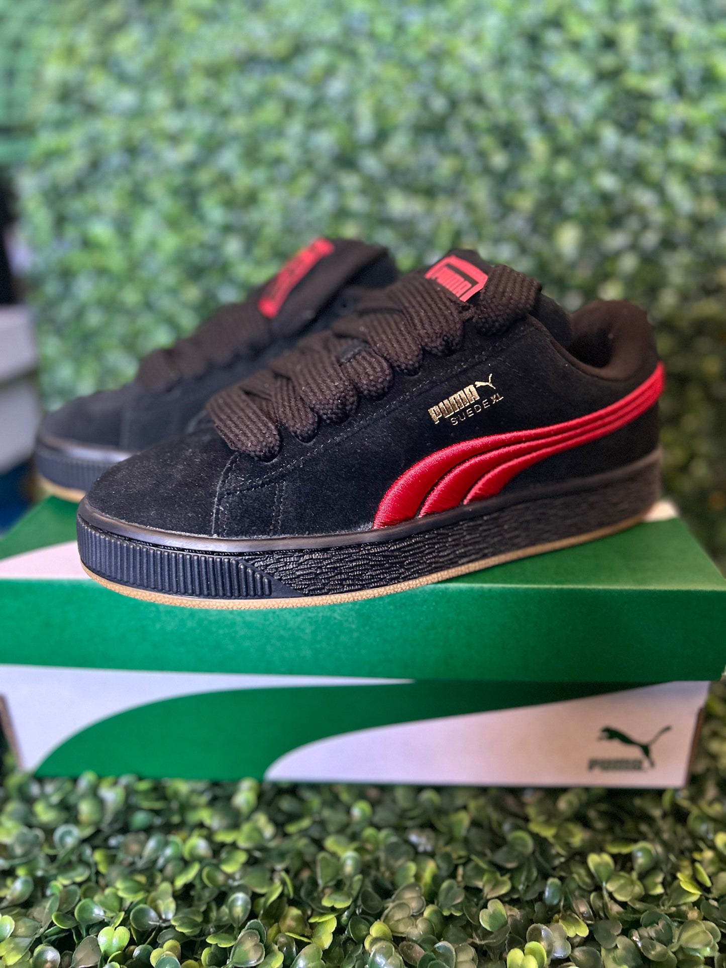 Puma