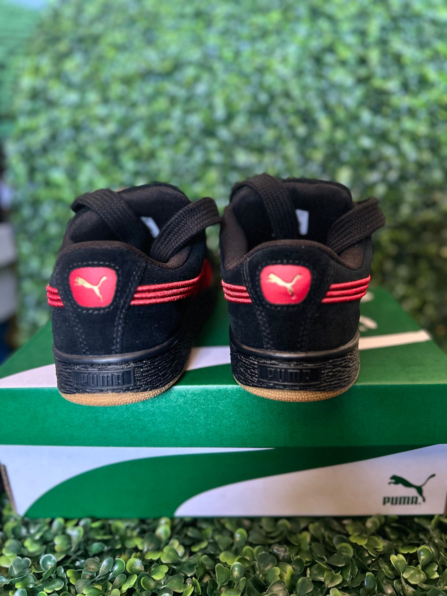 Puma
