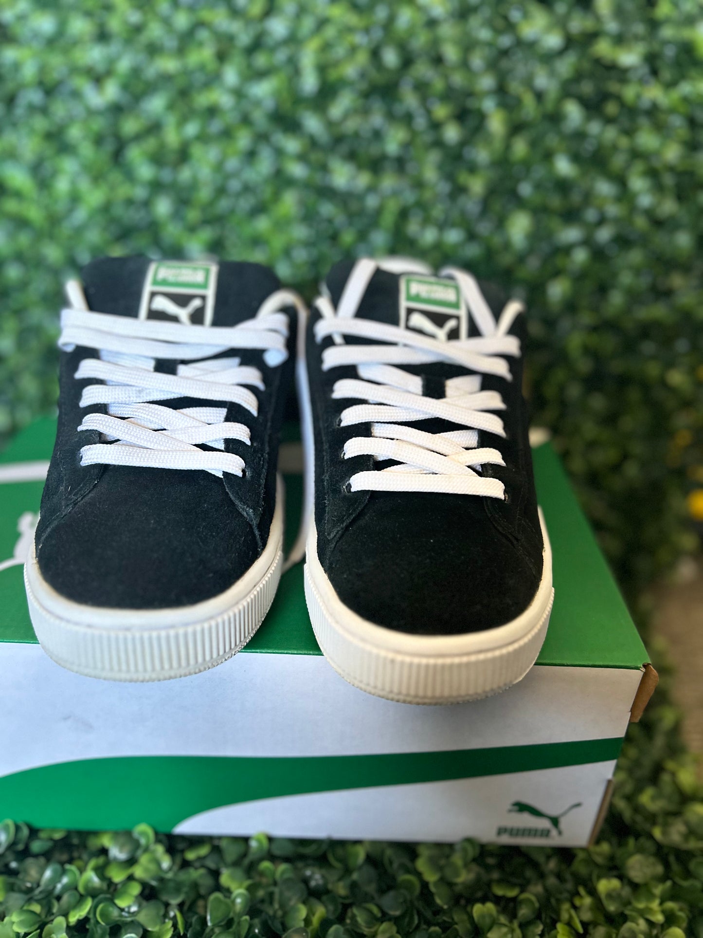 Puma