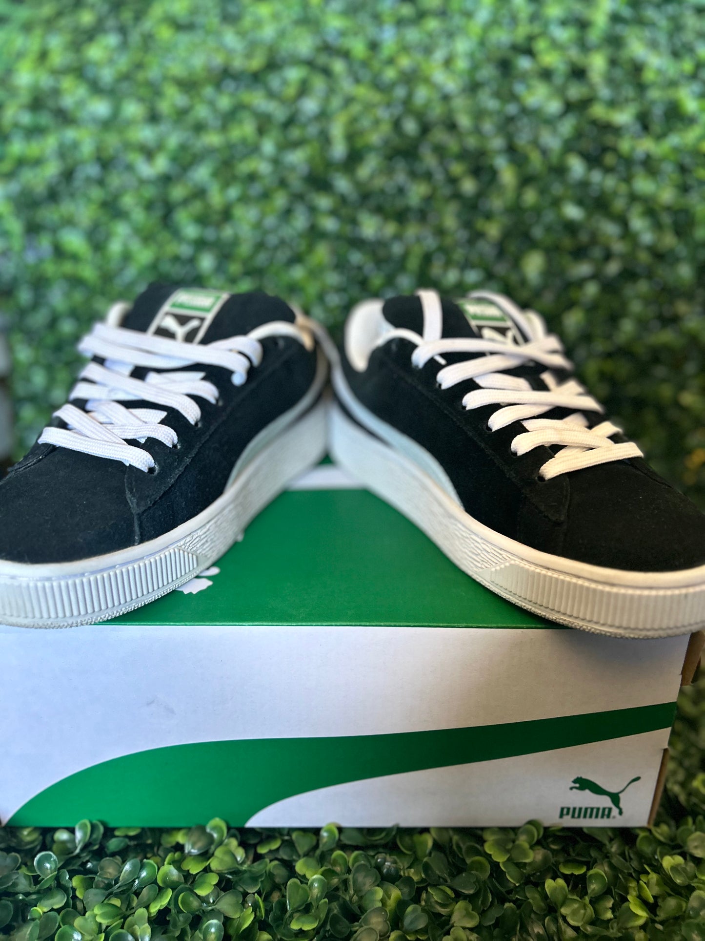 Puma