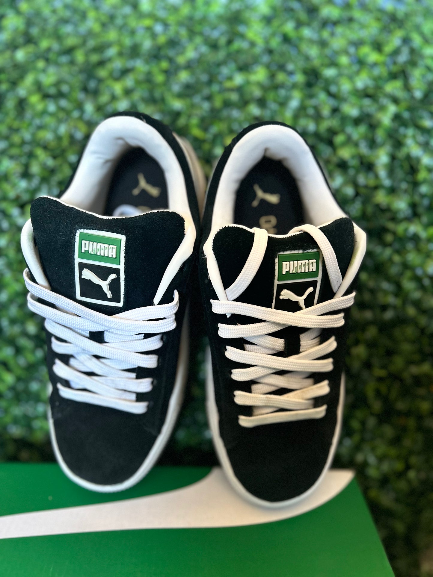 Puma